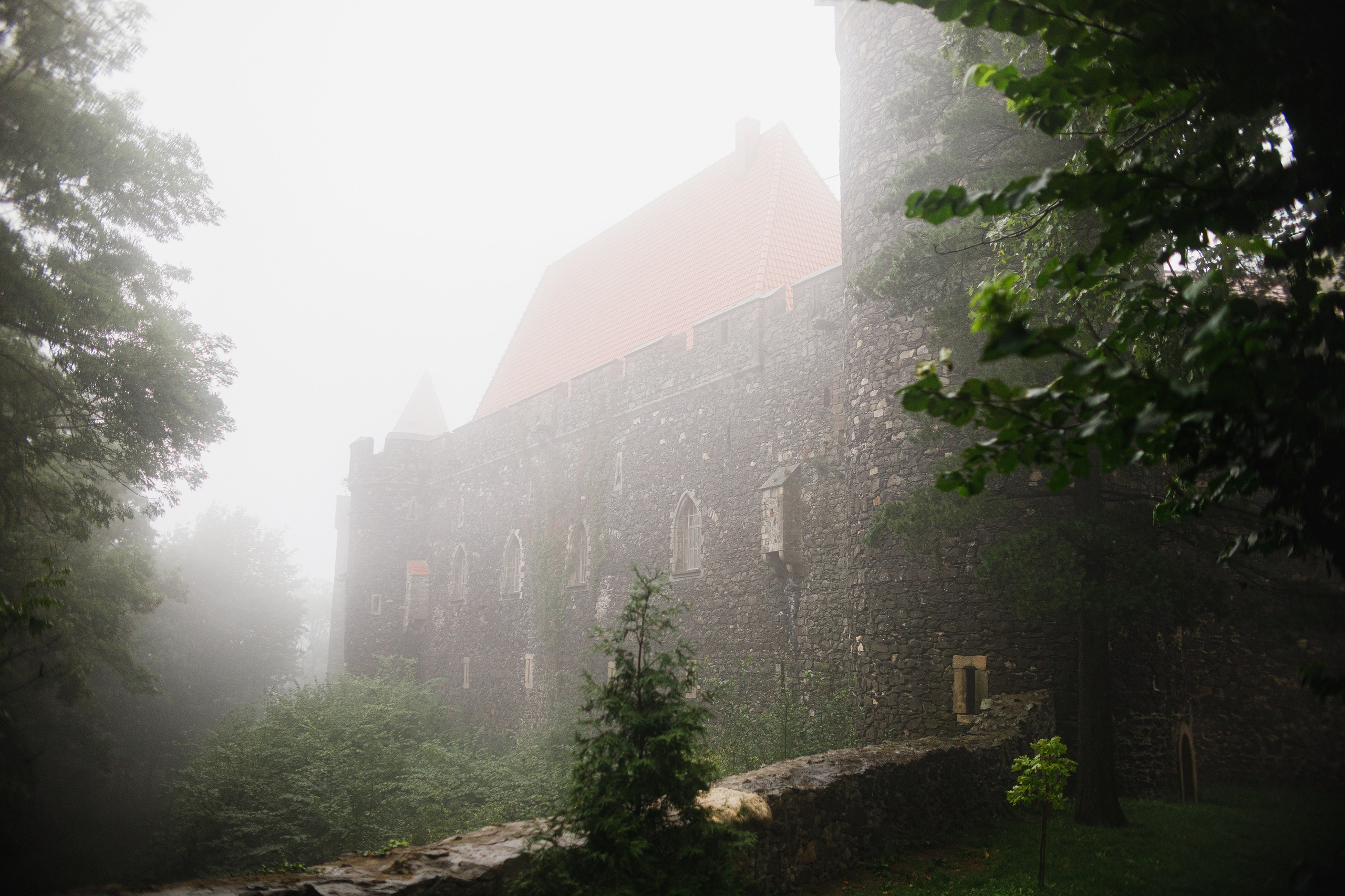 Zamek Grodziec. Kaja | fotograf psów we Wrocławiu