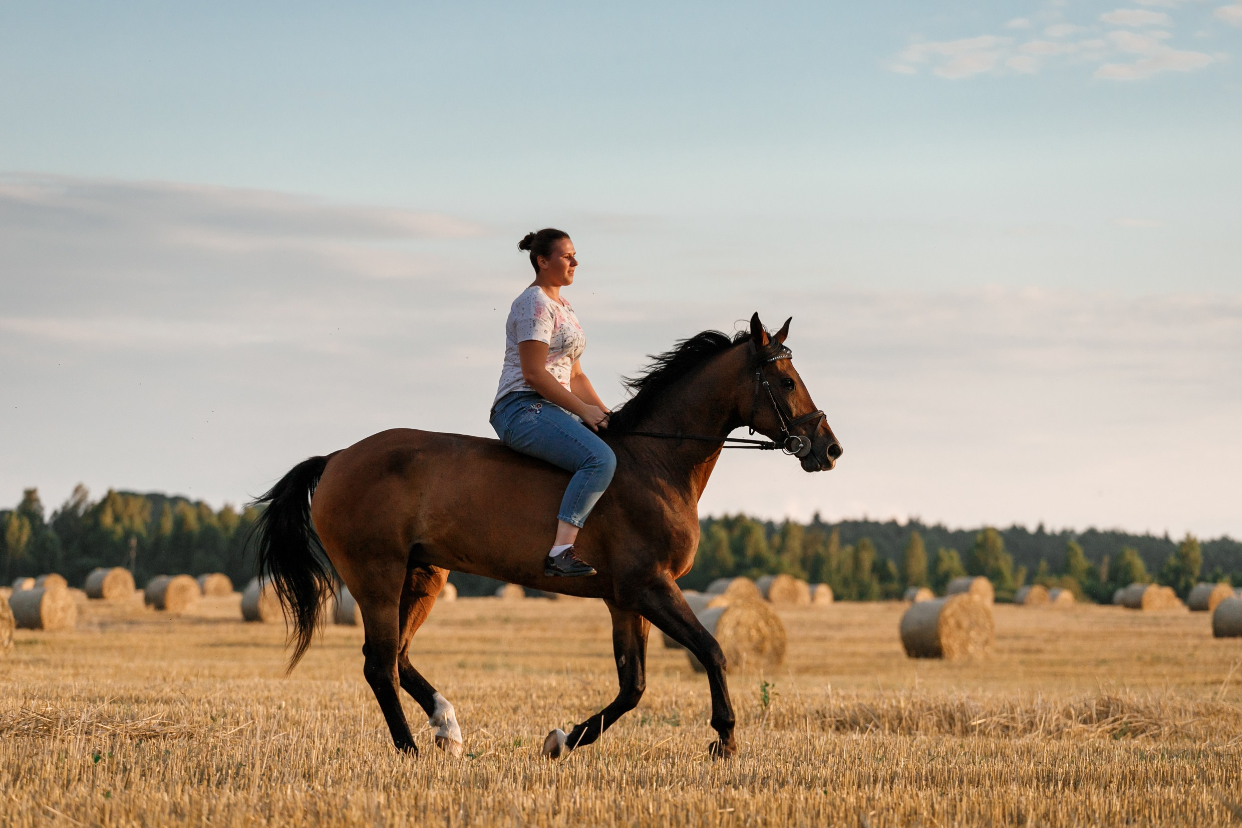 One sunset. Kaja | fotograf psów we Wrocławiu