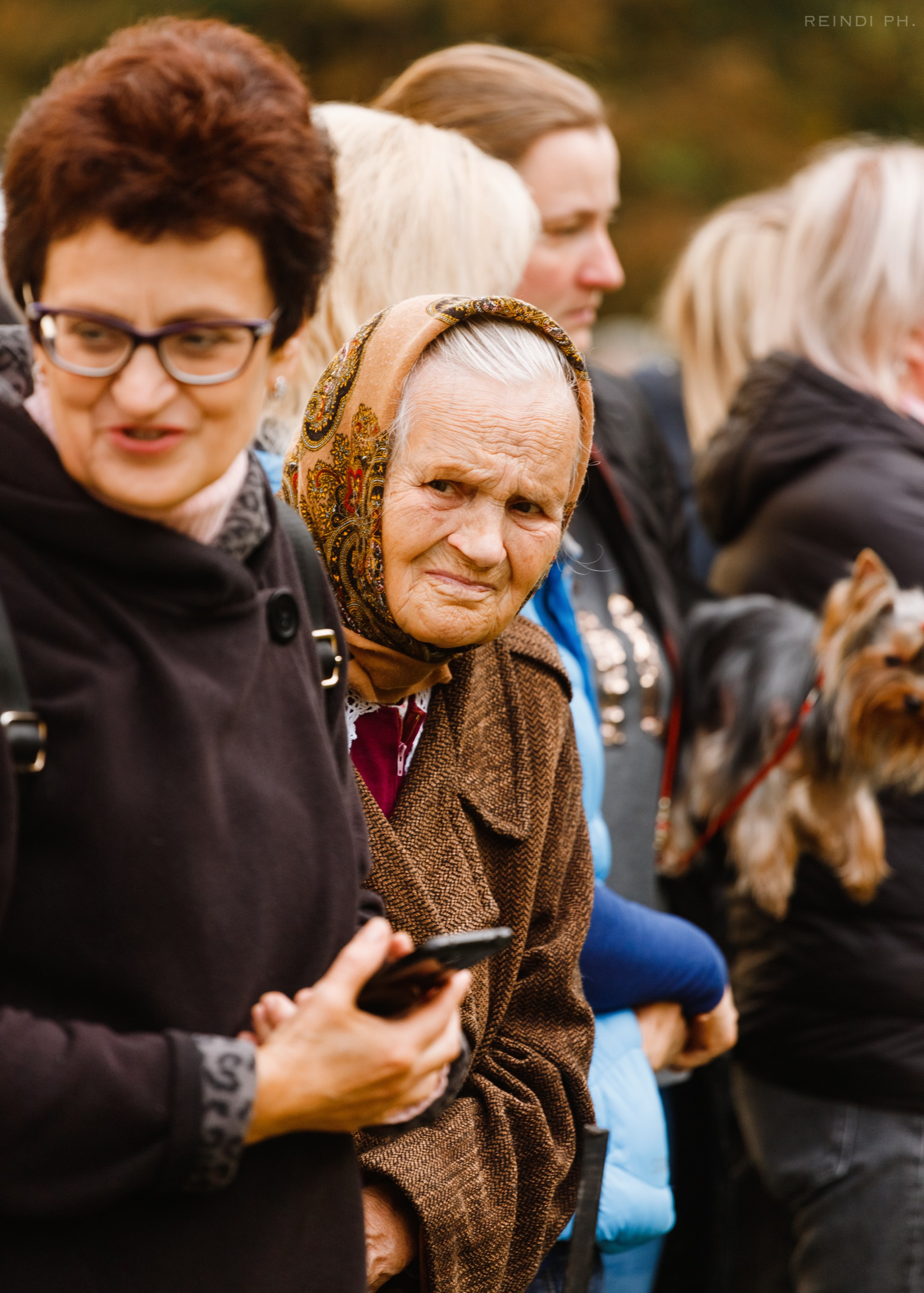 «Argus» dog show in Brest. Kaja | fotograf we Wrocławiu | ludzie i psy