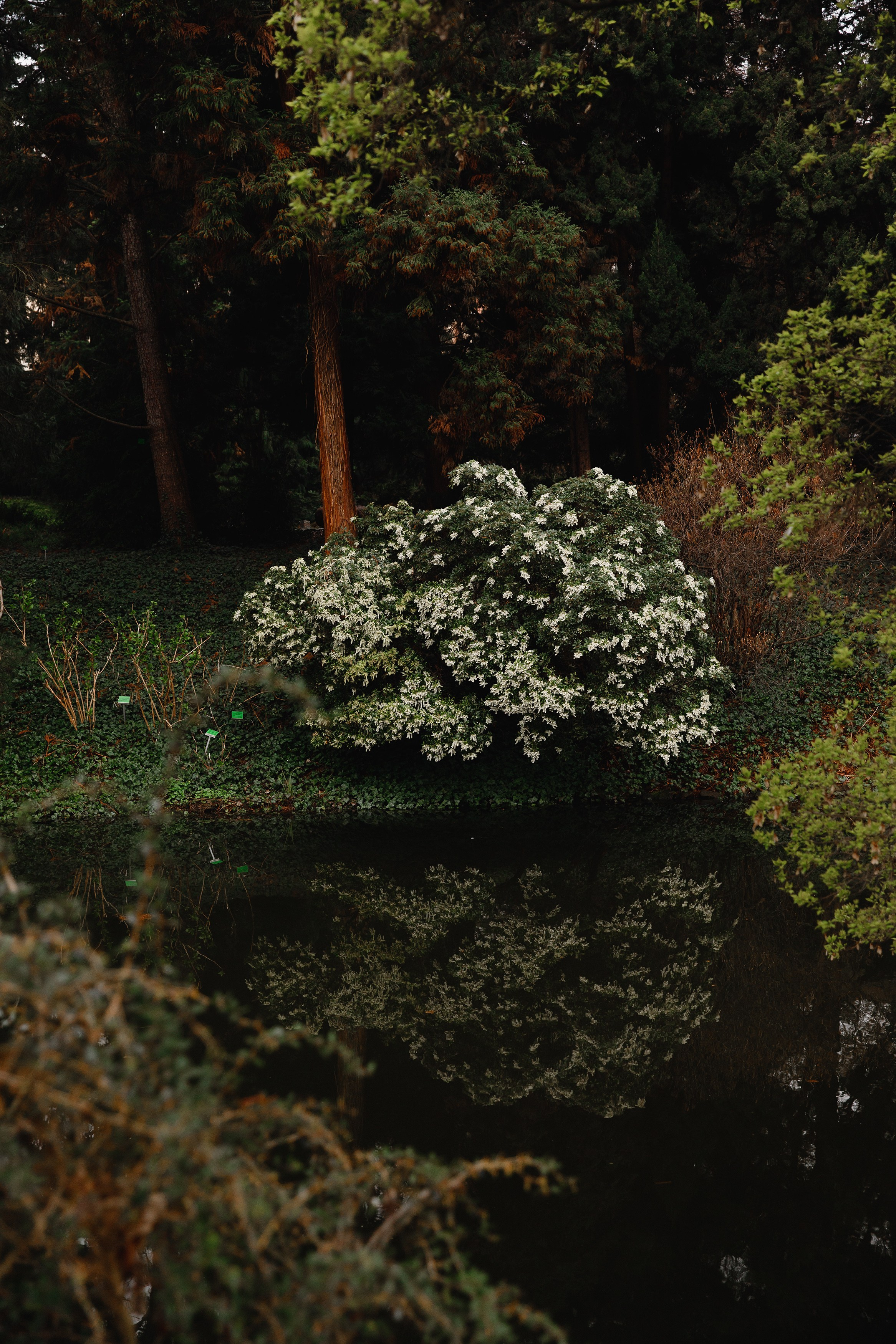 Botanical garden in Wroclaw. Kaja | fotograf we Wrocławiu | ludzie i psy