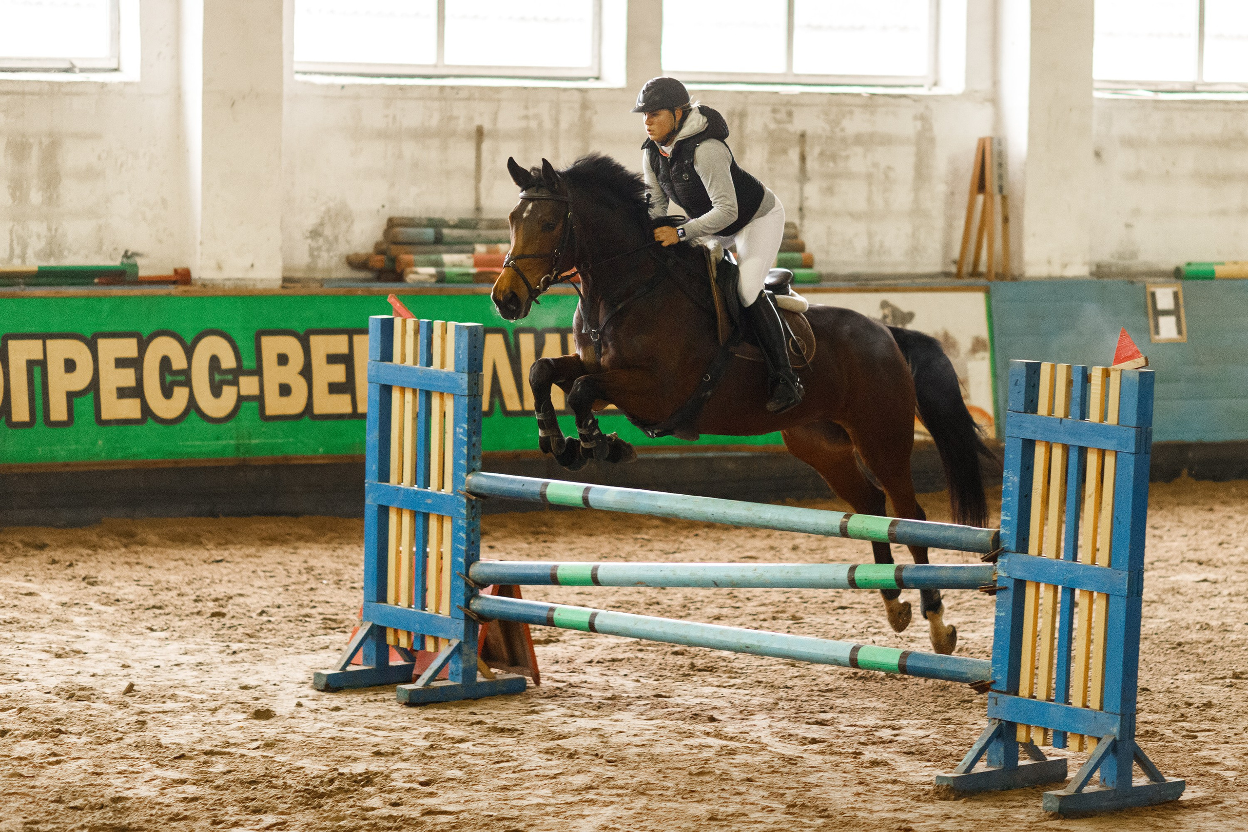 Winter show jumping in «Progress». Kaja | fotograf we Wrocławiu | ludzie i psy