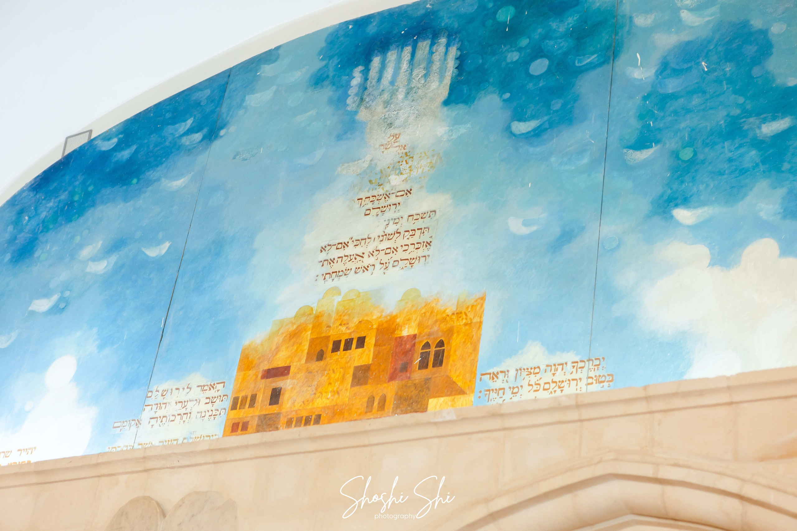 MASTER CLASS WITH SOIFER FOR BAR MITZVAH. Https://shi-photo.com/