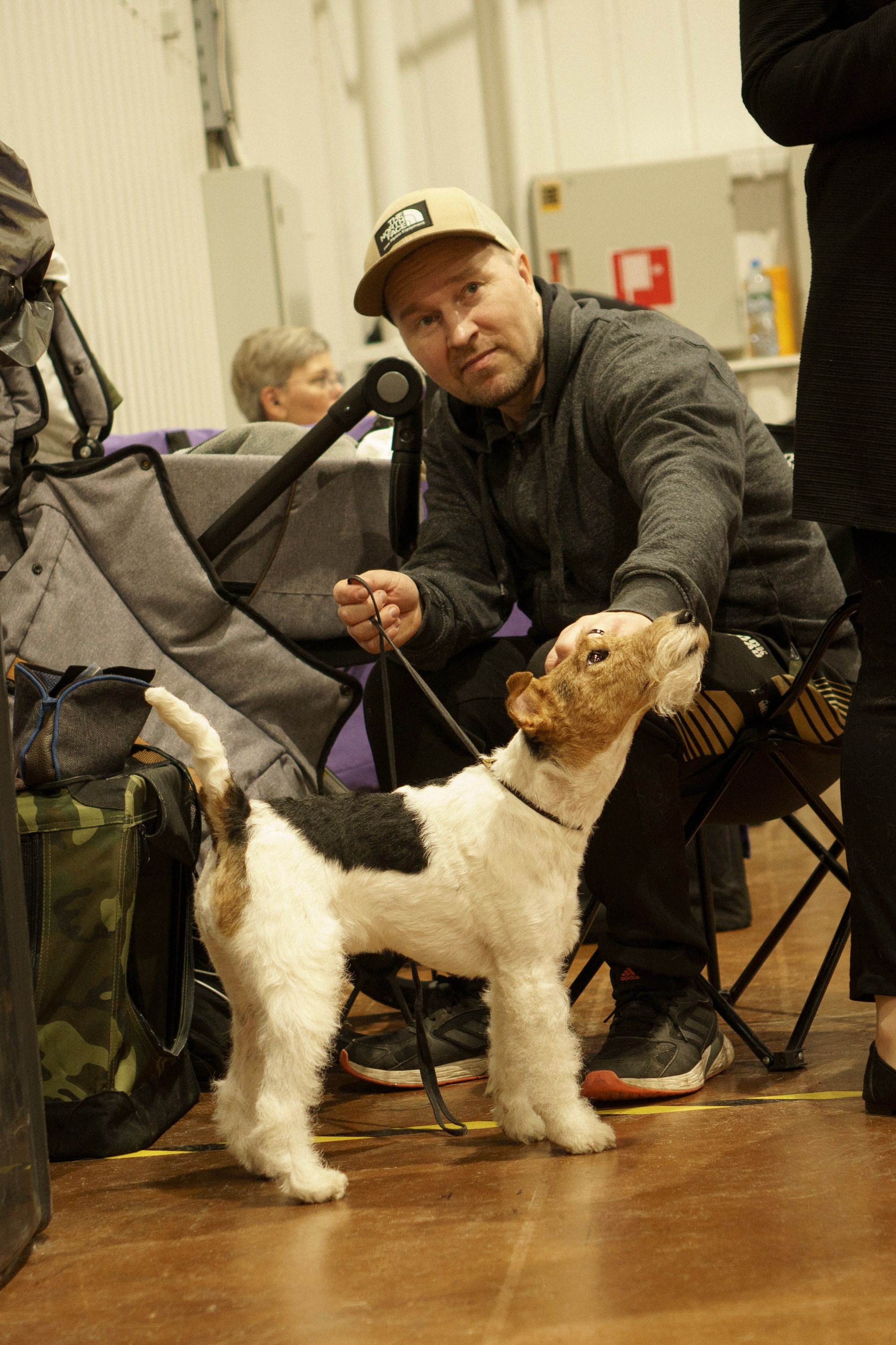 Tartu International Dog Show. Kat Laisaar — Pet photographer in Tallinn