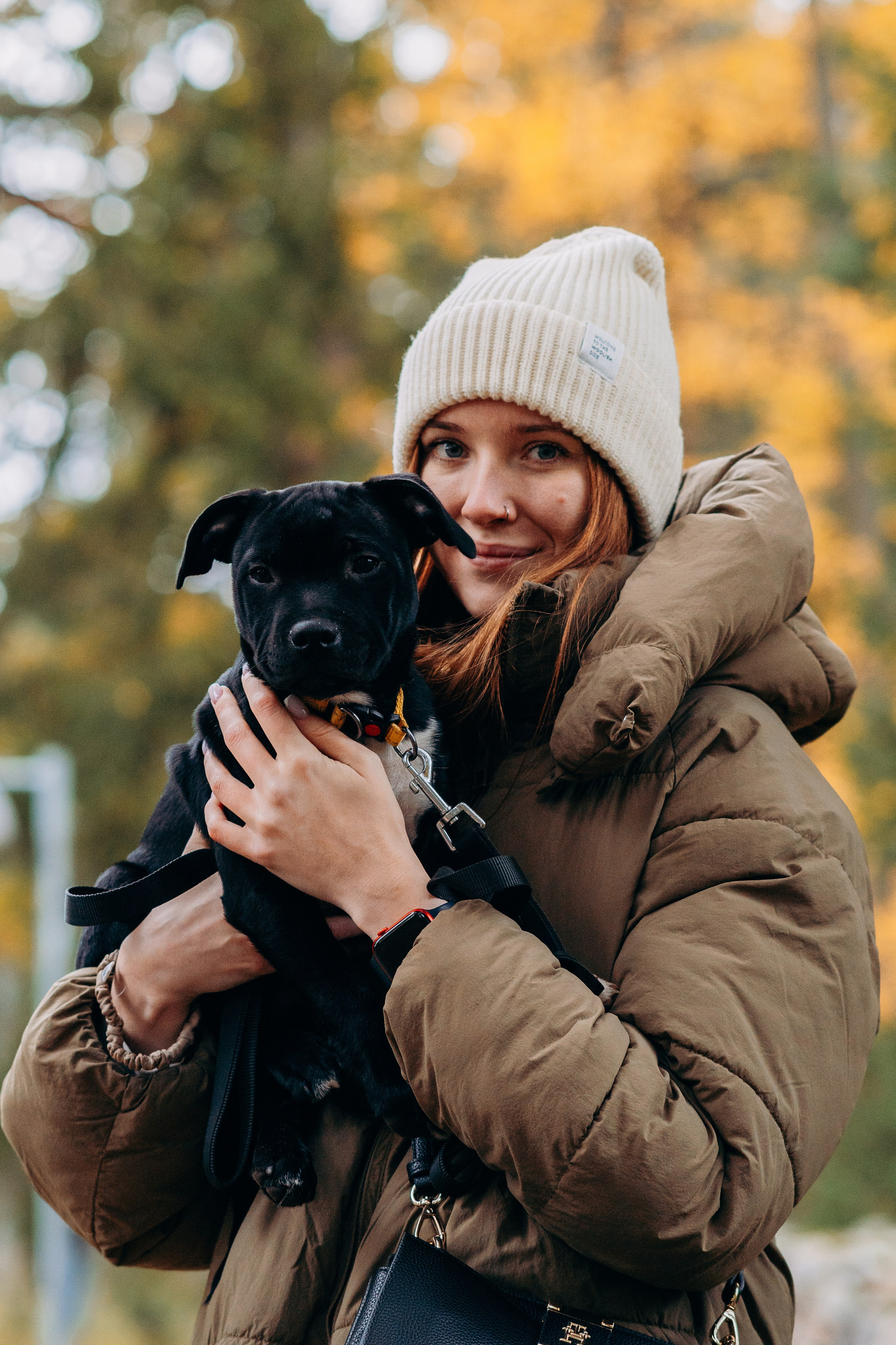 Staffordshire Bull Terriers Meetup. Kat Laisaar — Pet photographer in Tallinn