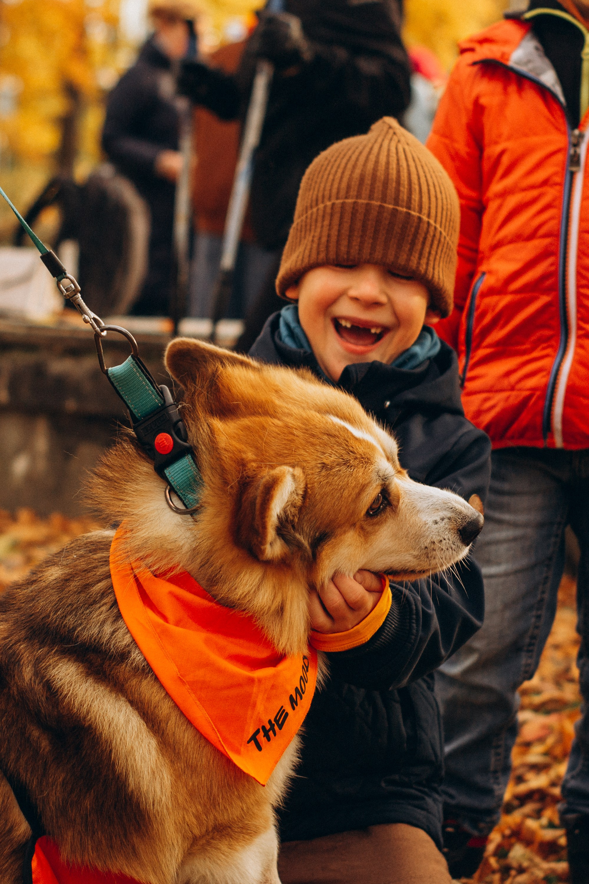 Corgi party, october. Kat Laisaar — Pet photographer in Tallinn