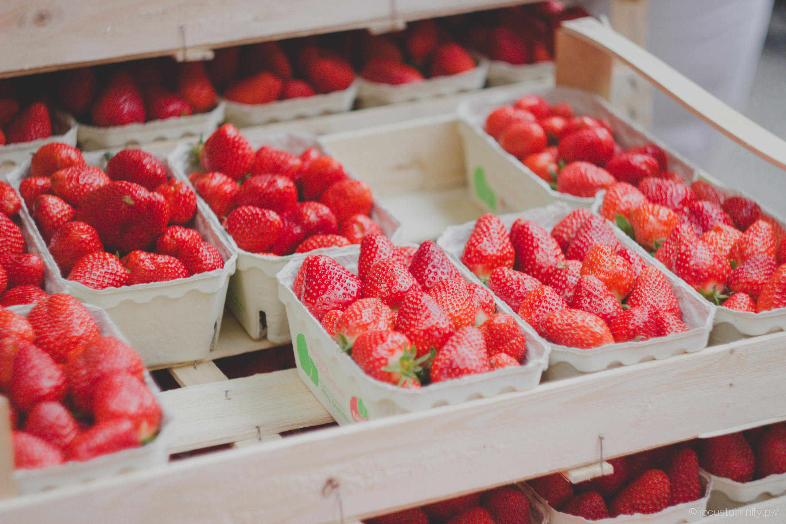 Oberkircher Erdbeerfest. Maria Chistyakovа — Fotografin in Karlsruhe, Baden-Baden und Umgebung