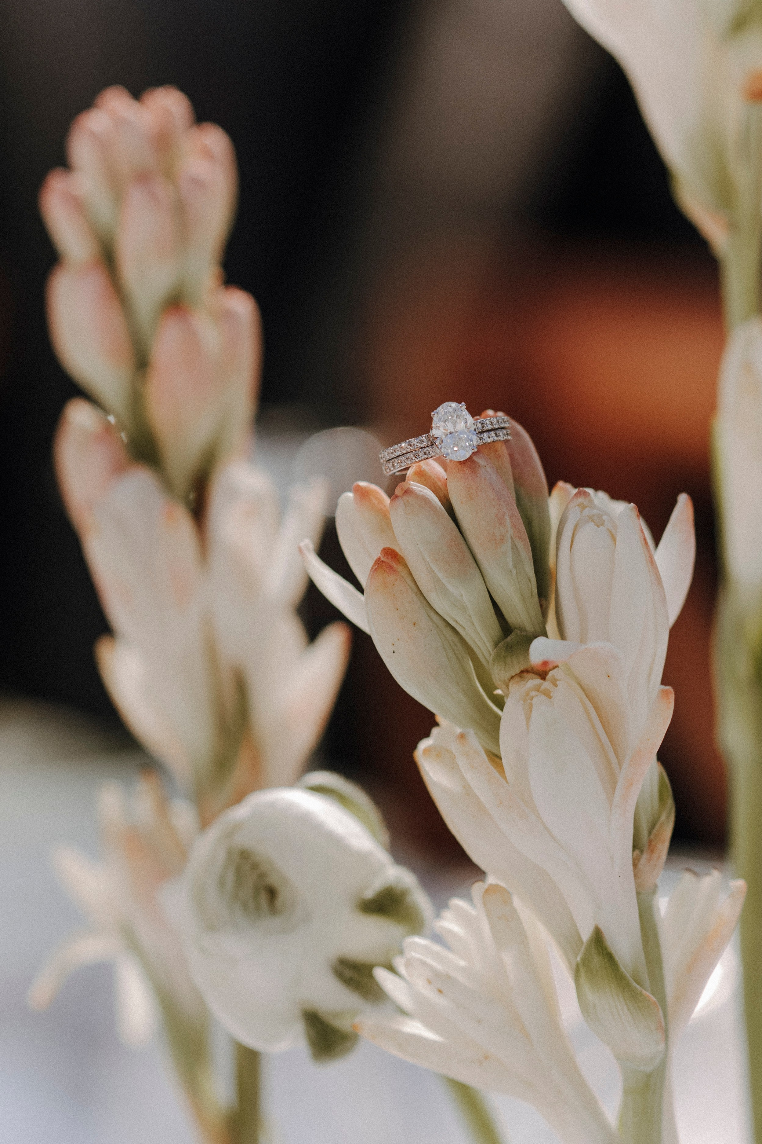 Fatima & Saif Melcha