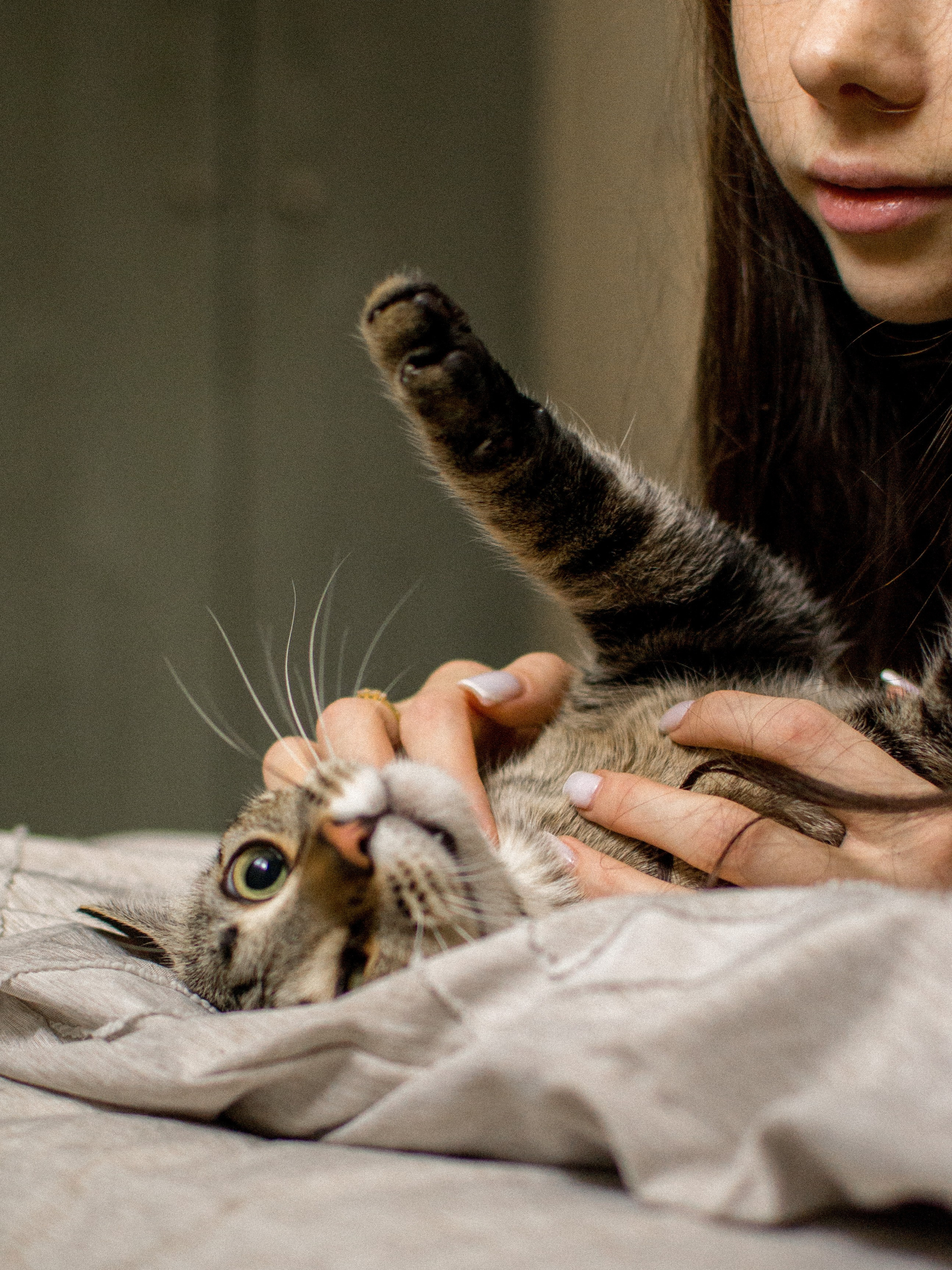 Victoria et Murka. Photographe animalier à Paris Anna Pereira