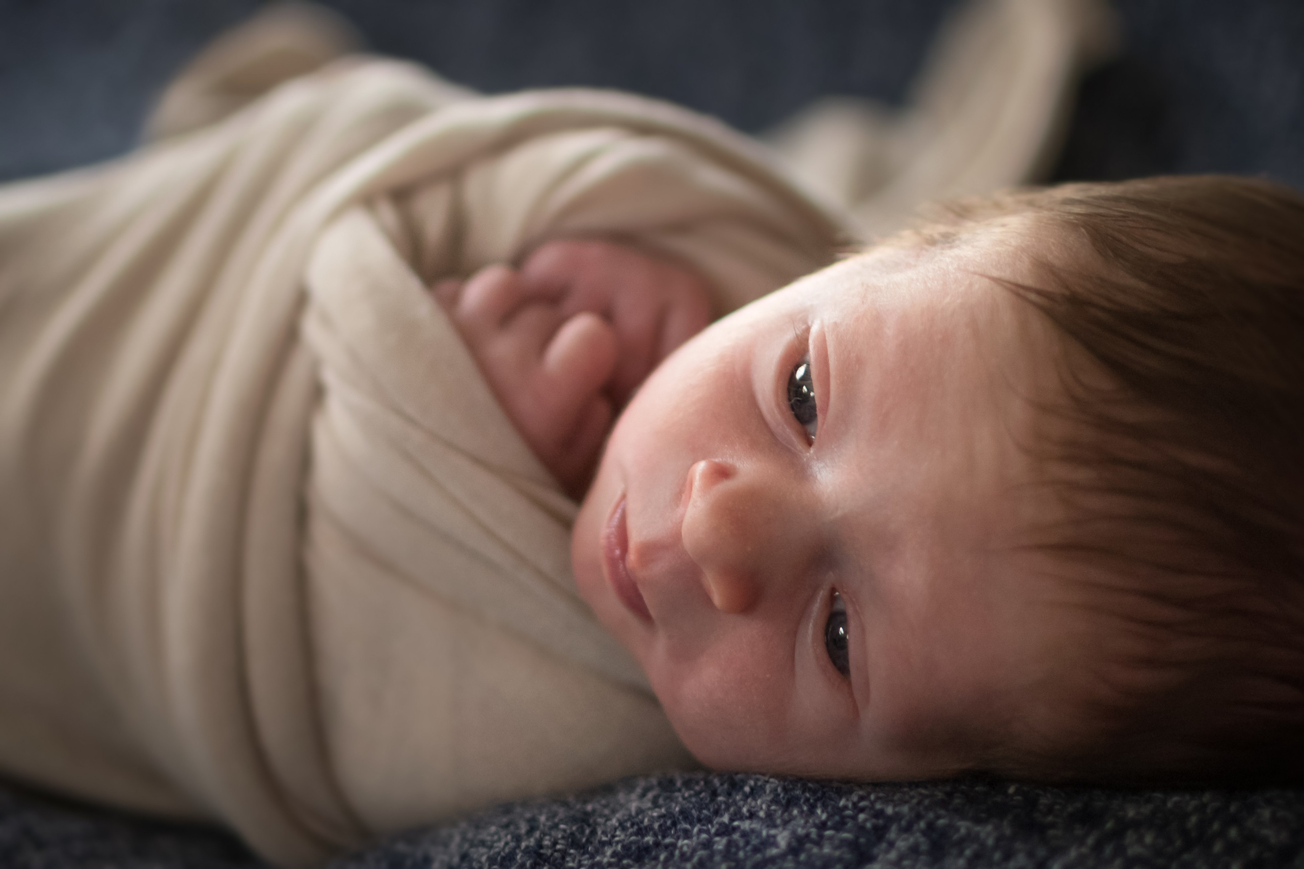 Neugeborene. Lena Horch