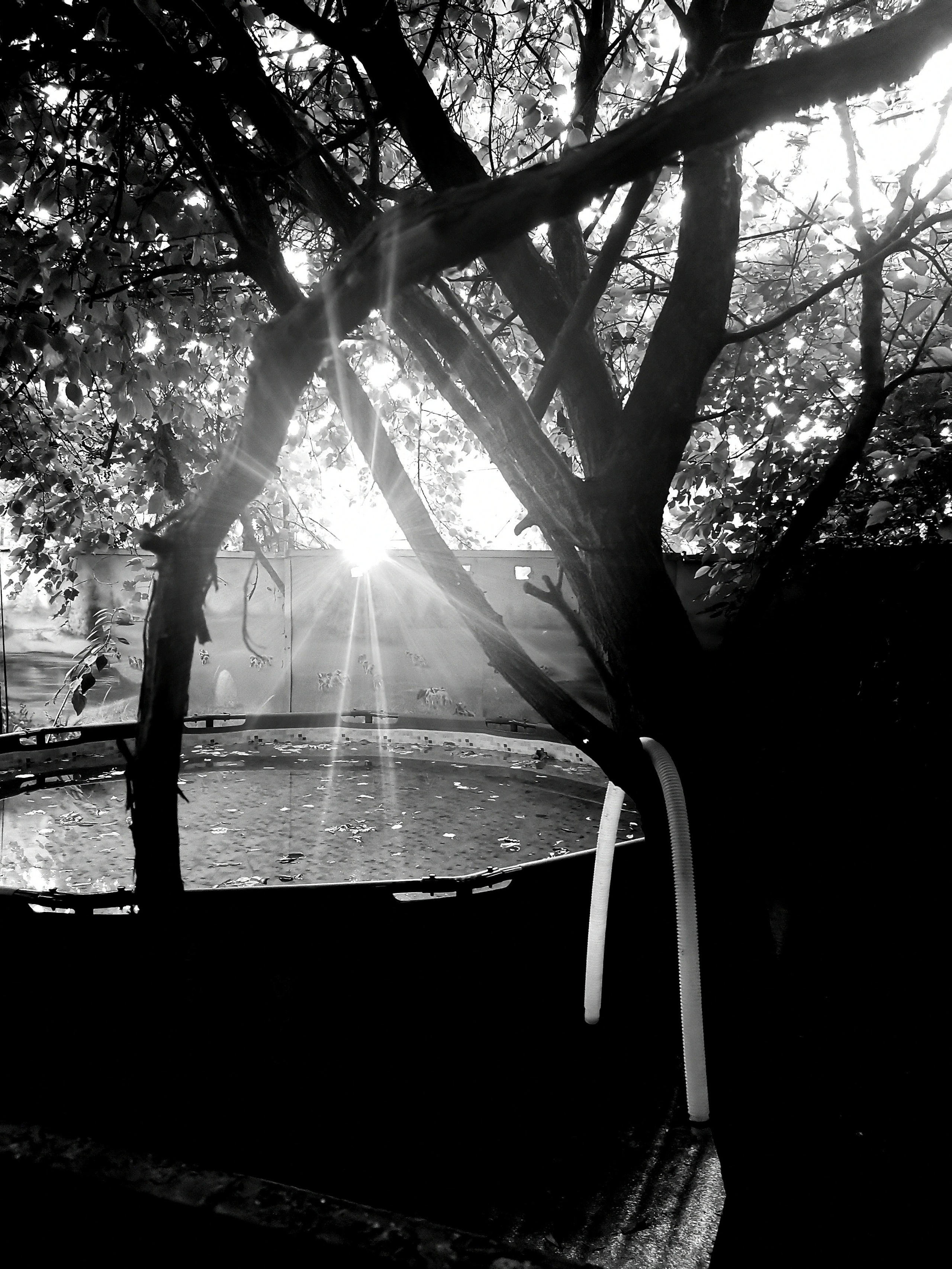 Impact Photo Collecton. Professional Artist, teacher of art, Artistic Photographer In Dubai (U