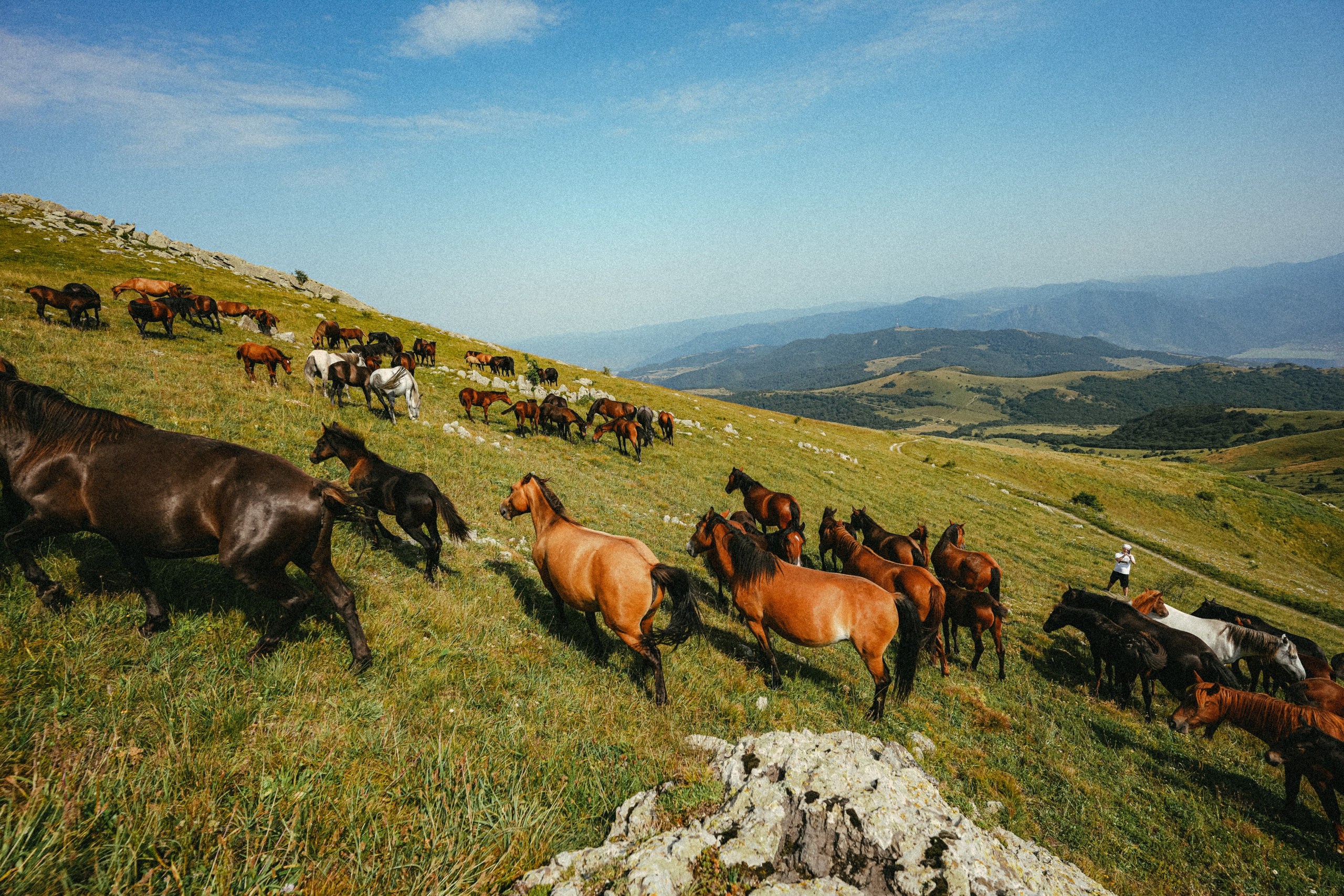 ПЕЙЗАЖИ. Стрит-фотография, полная абсурда, идиотизма и красоты