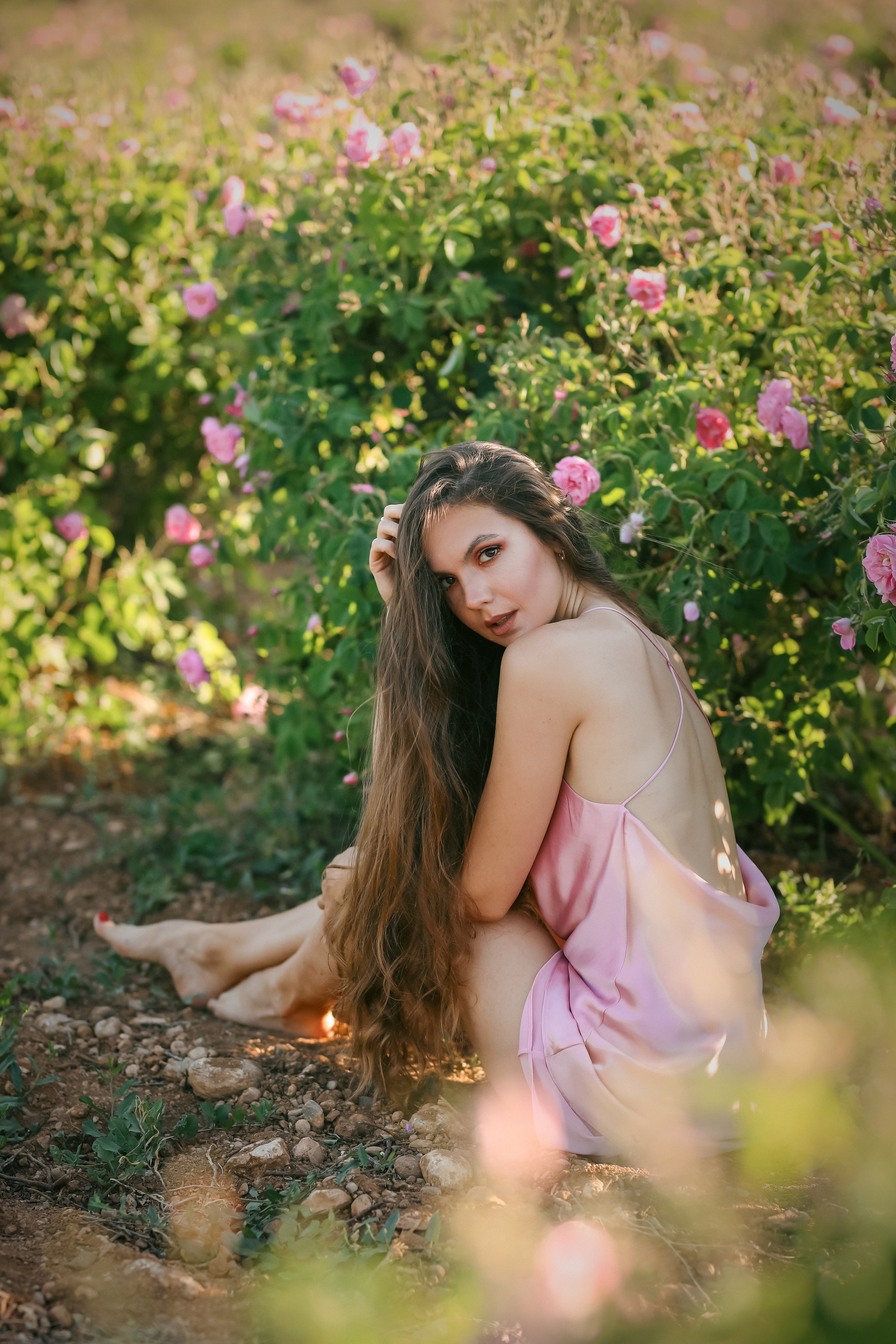 Rose fields. Photographer in Turkey, Antalya, Kemer, Belek, Side, Kas, Fethiye
