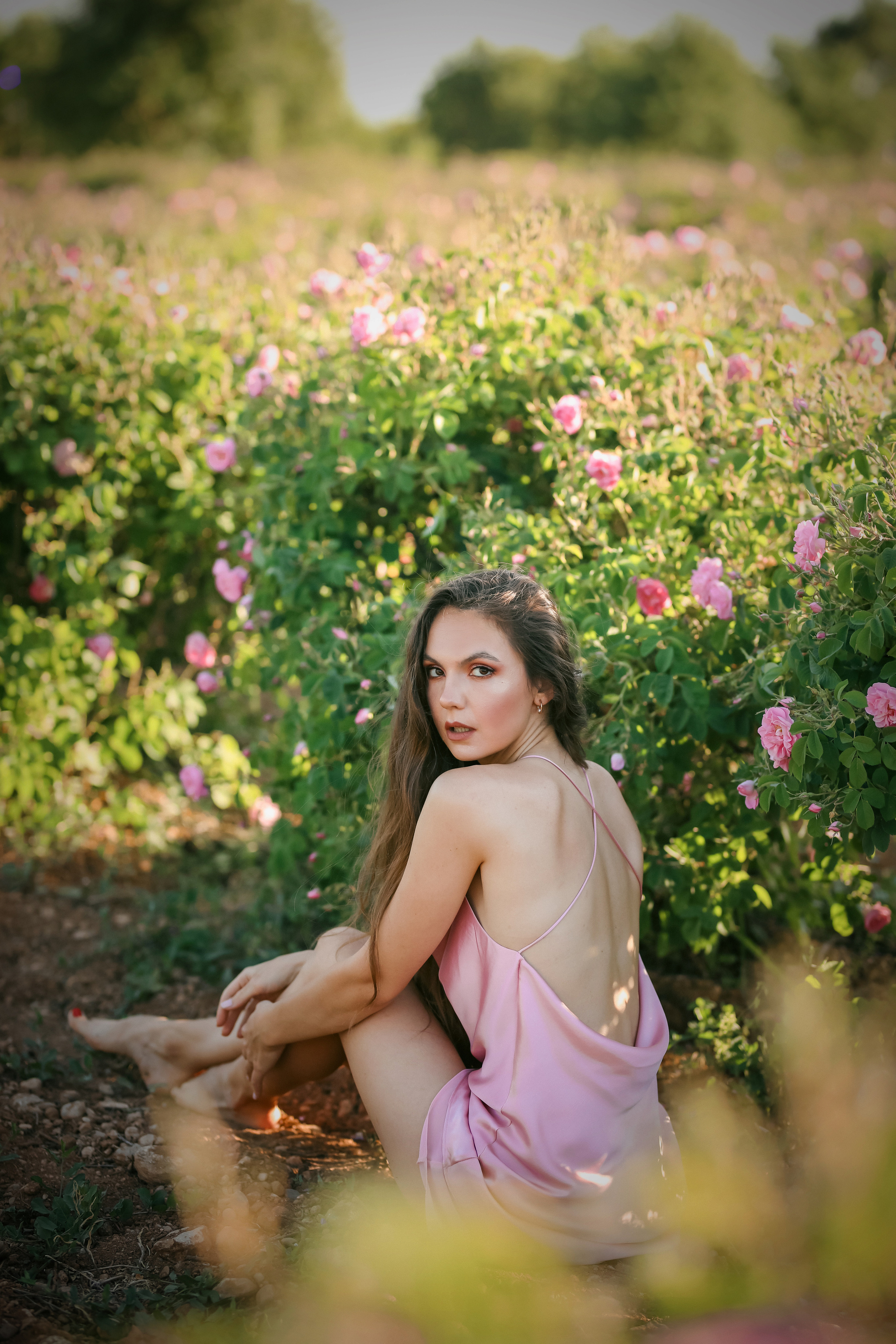 Rose fields. Photographer in Turkey, Antalya, Kemer, Belek, Side, Kas, Fethiye