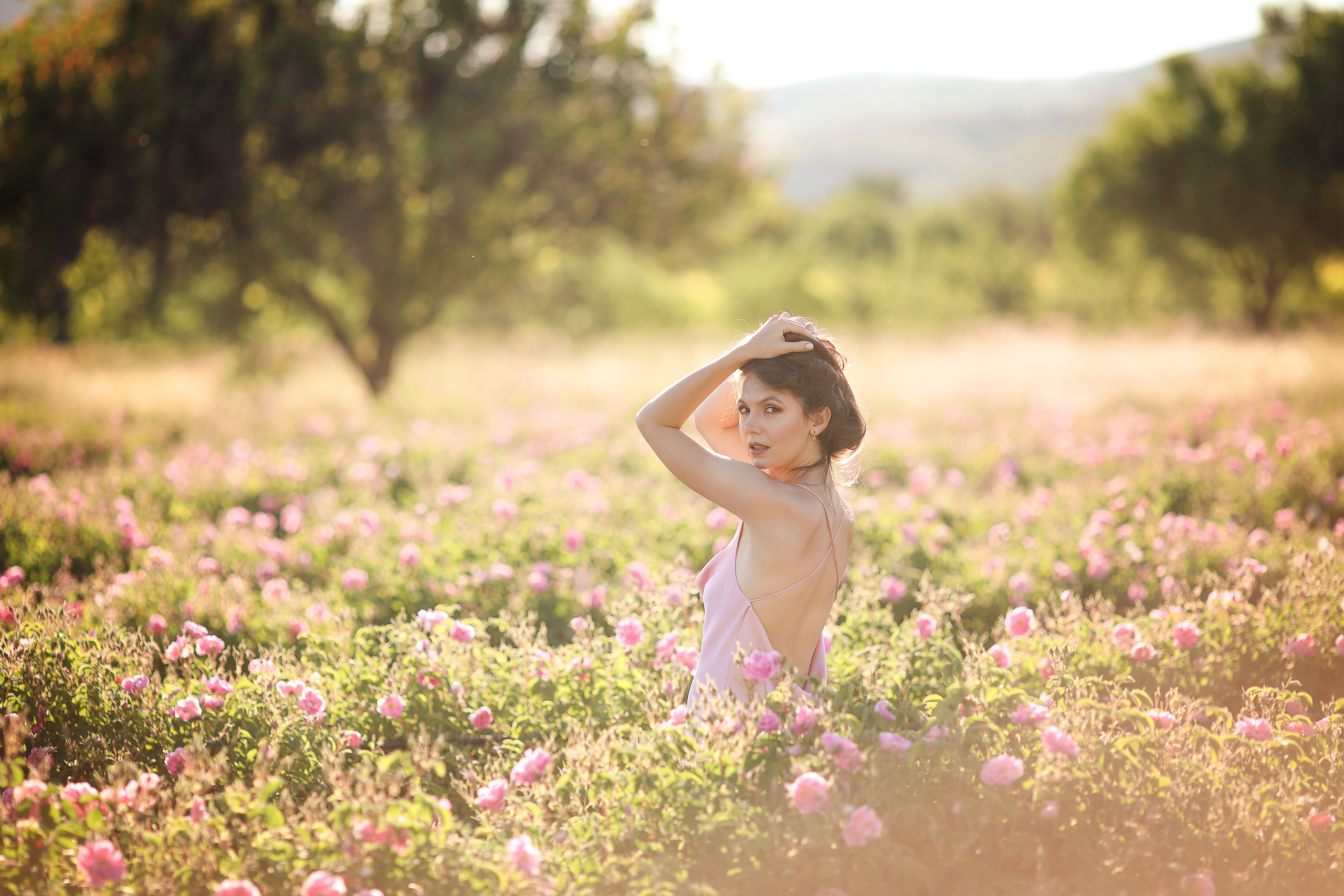Rose fields. Photographer in Turkey, Antalya, Kemer, Belek, Side, Kas, Fethiye