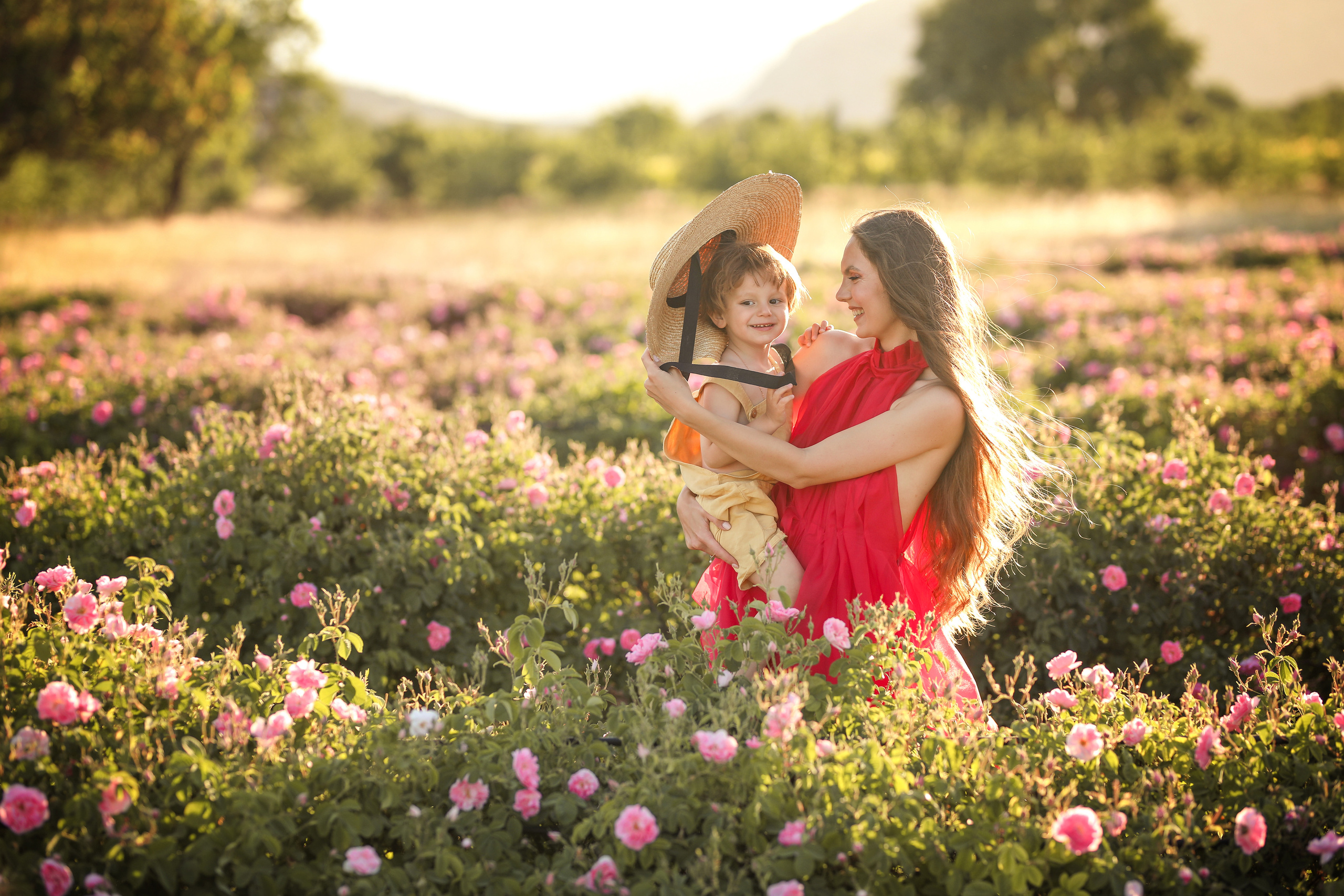 Rose fields. Photographer in Turkey, Antalya, Kemer, Belek, Side, Kas, Fethiye