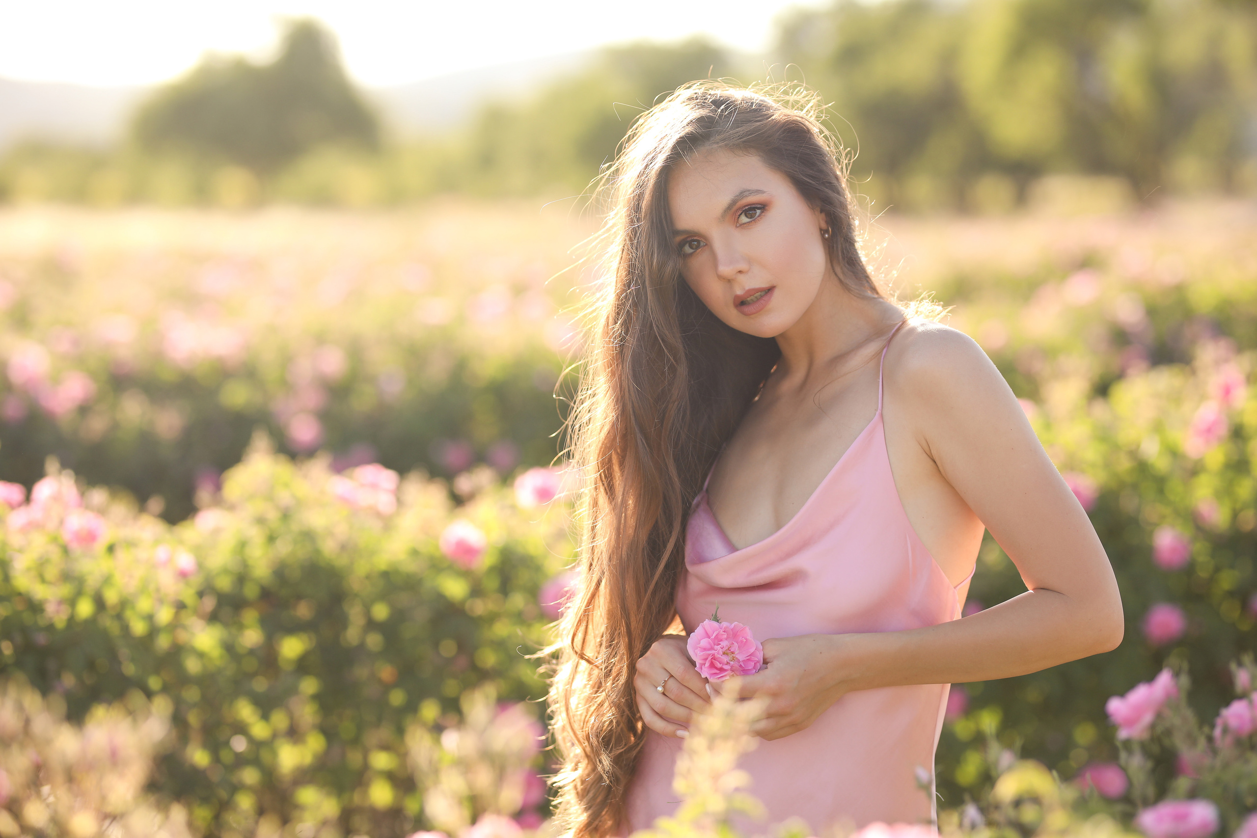 Rose fields. Photographer in Turkey, Antalya, Kemer, Belek, Side, Kas, Fethiye
