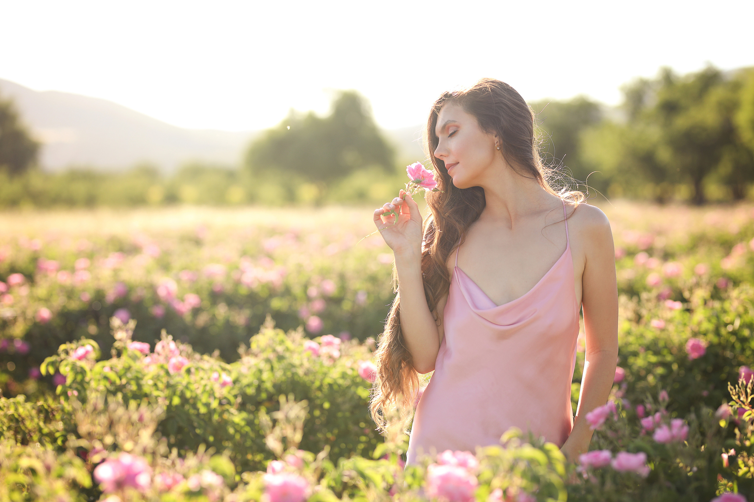 Rose fields. Photographer in Turkey, Antalya, Kemer, Belek, Side, Kas, Fethiye