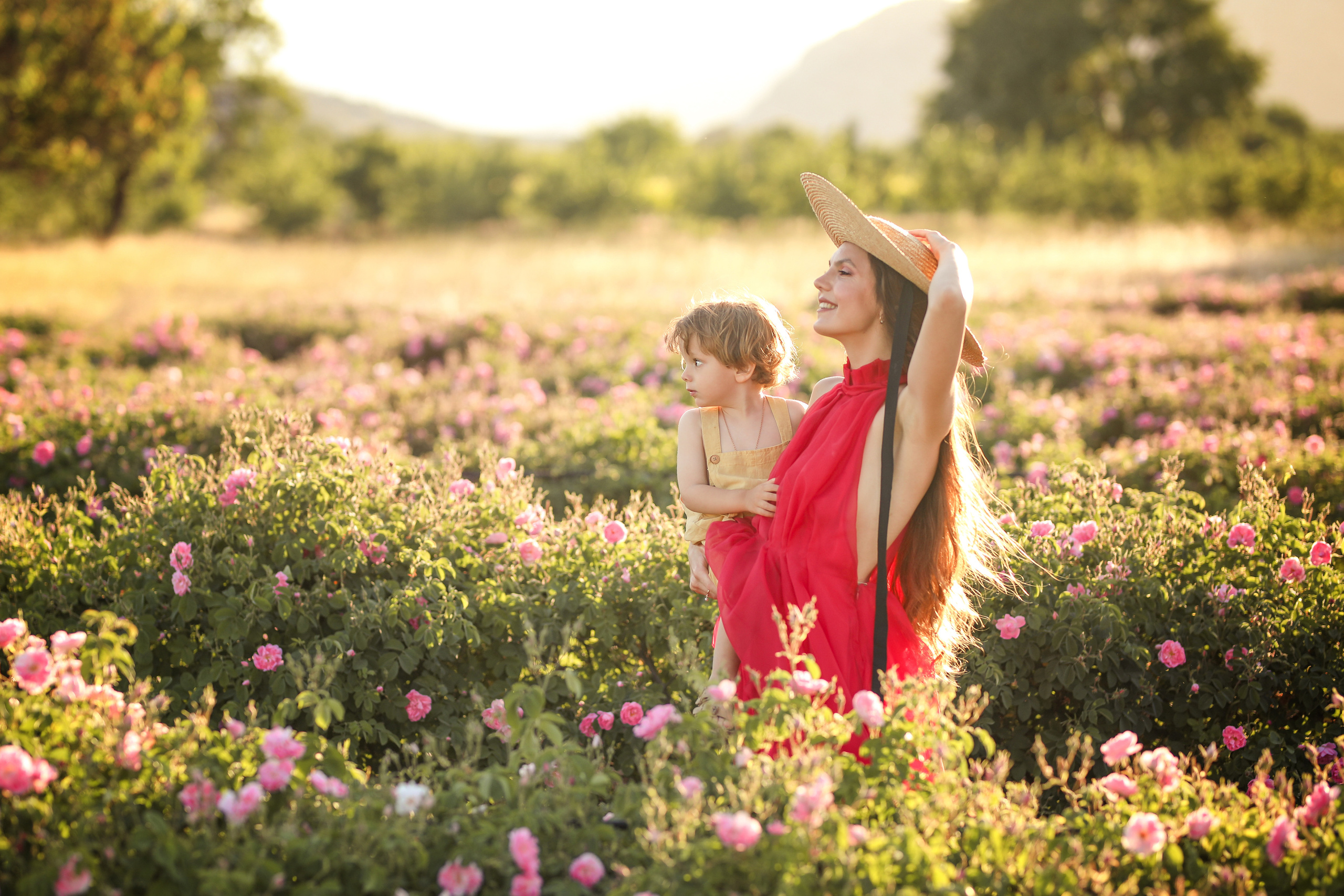 Rose fields. Photographer in Turkey, Antalya, Kemer, Belek, Side, Kas, Fethiye