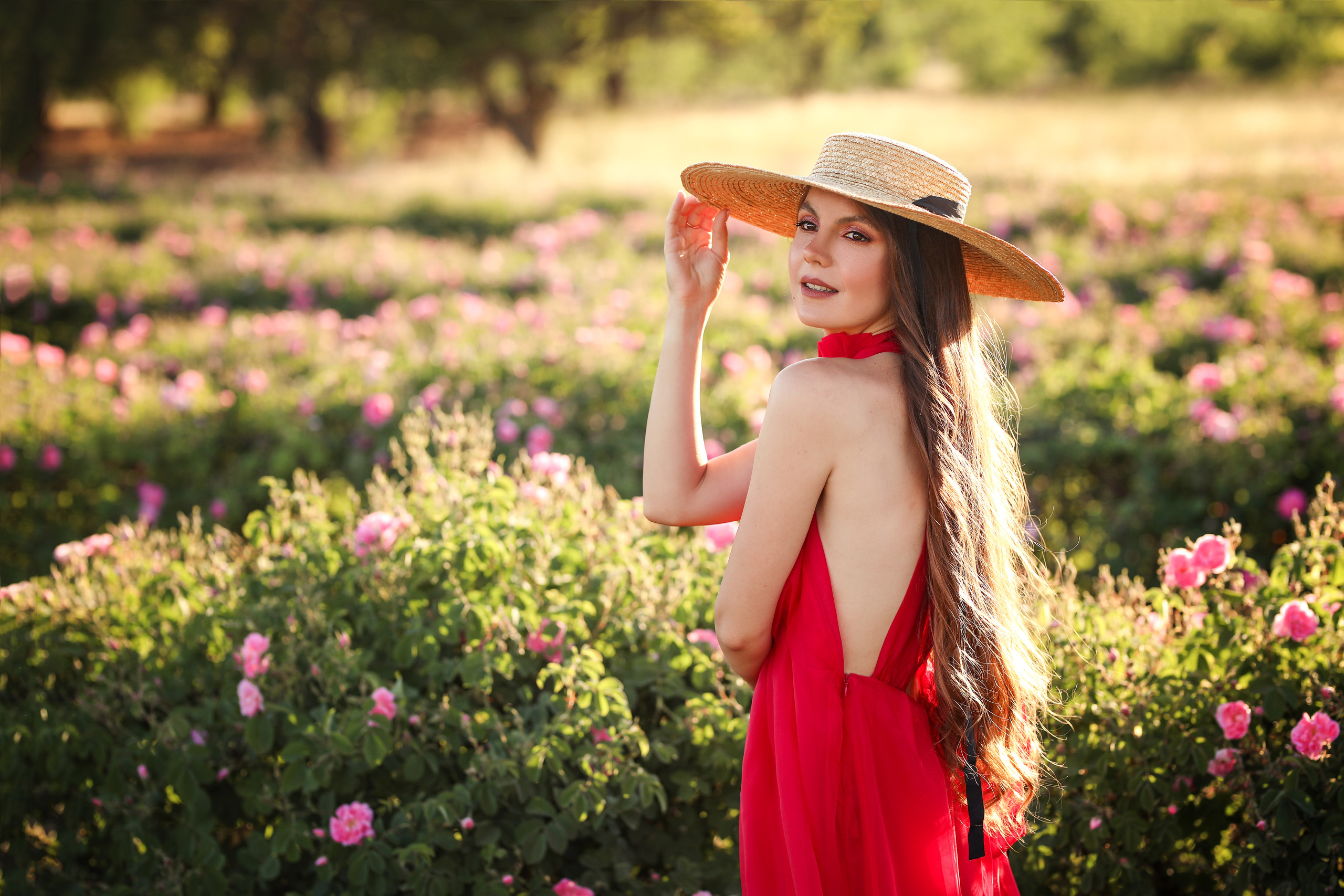 Rose fields. Photographer in Turkey, Antalya, Kemer, Belek, Side, Kas, Fethiye