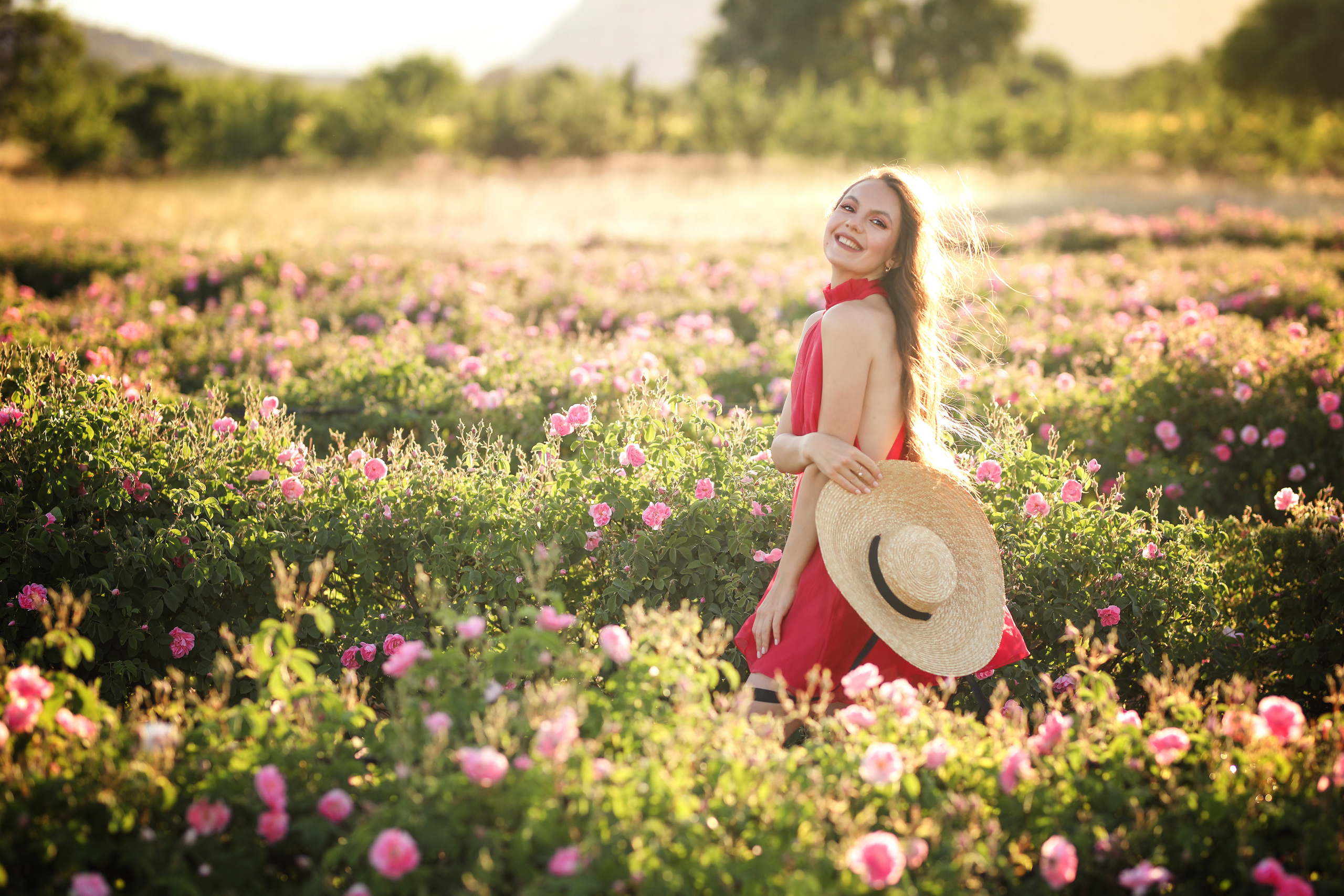 Rose fields. Photographer in Turkey, Antalya, Kemer, Belek, Side, Kas, Fethiye