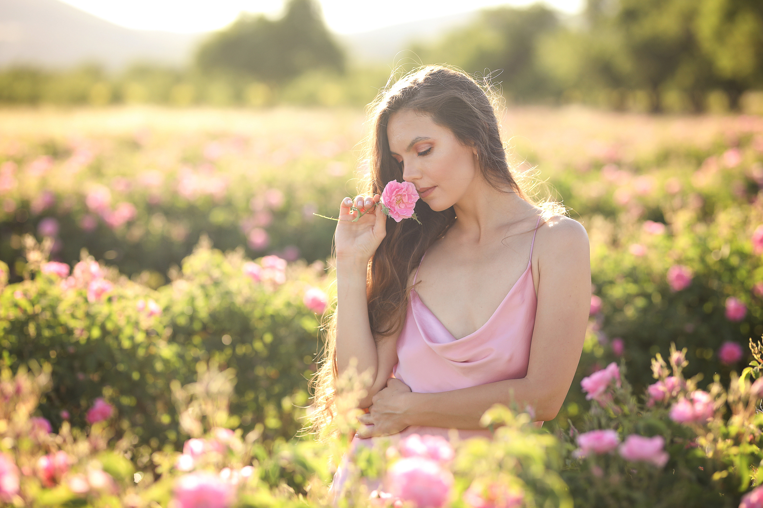 Rose fields. Photographer in Turkey, Antalya, Kemer, Belek, Side, Kas, Fethiye