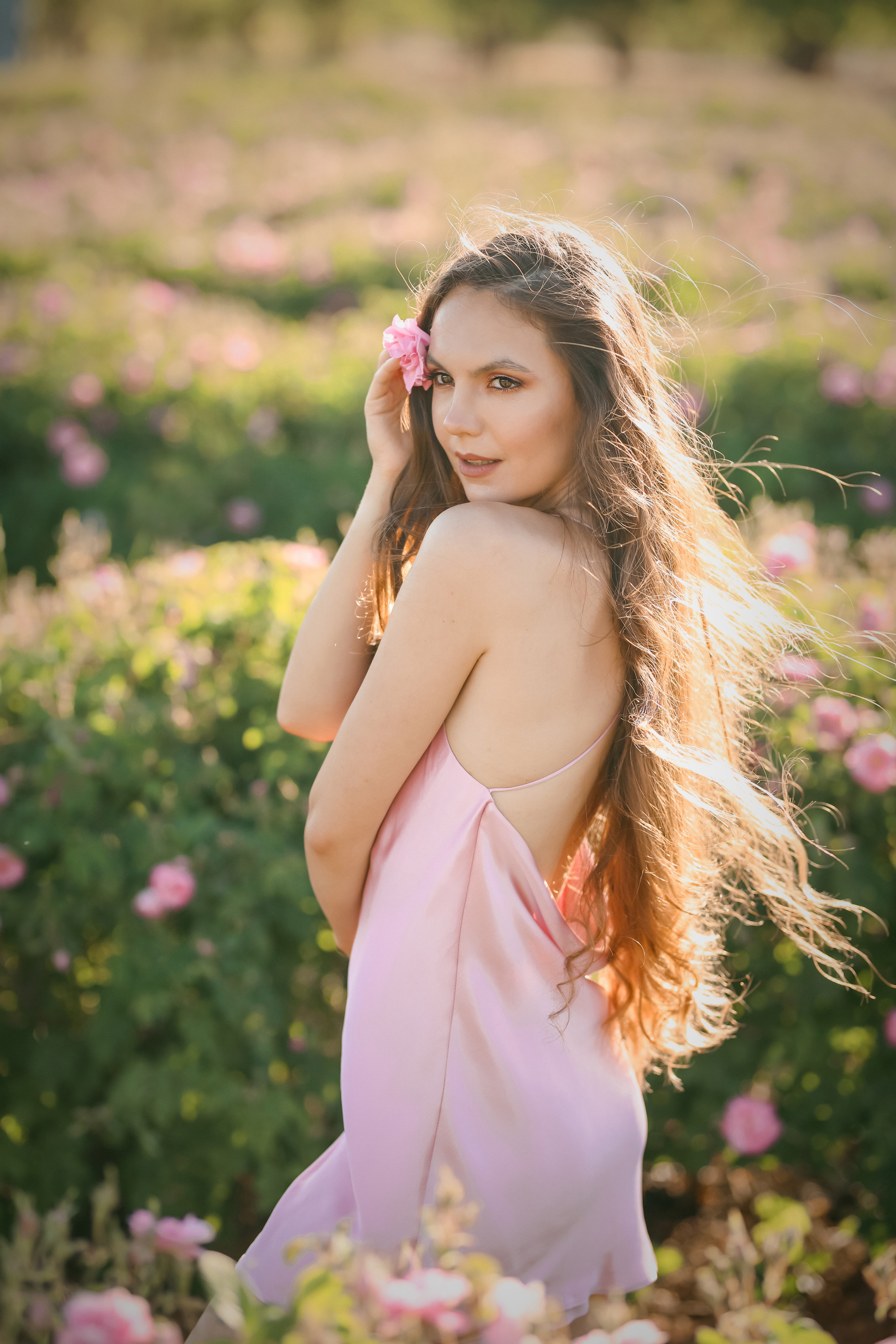 Rose fields. Photographer in Turkey, Antalya, Kemer, Belek, Side, Kas, Fethiye