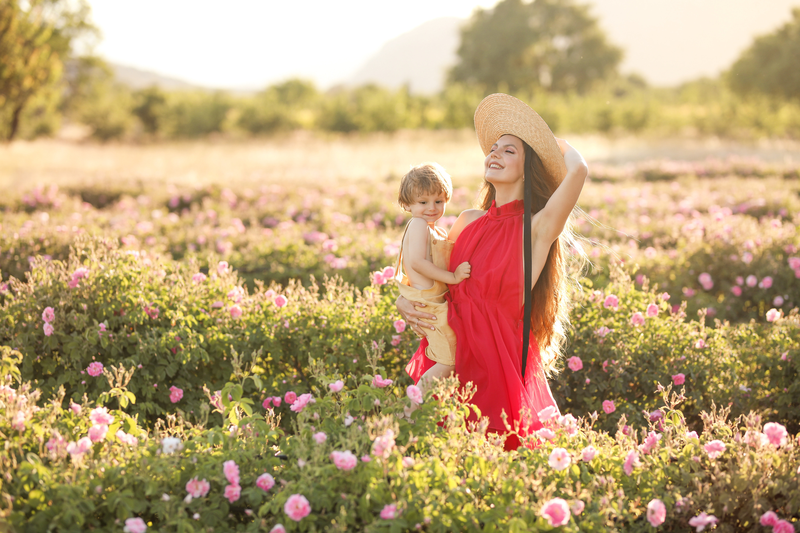 Rose fields. Photographer in Turkey, Antalya, Kemer, Belek, Side, Kas, Fethiye