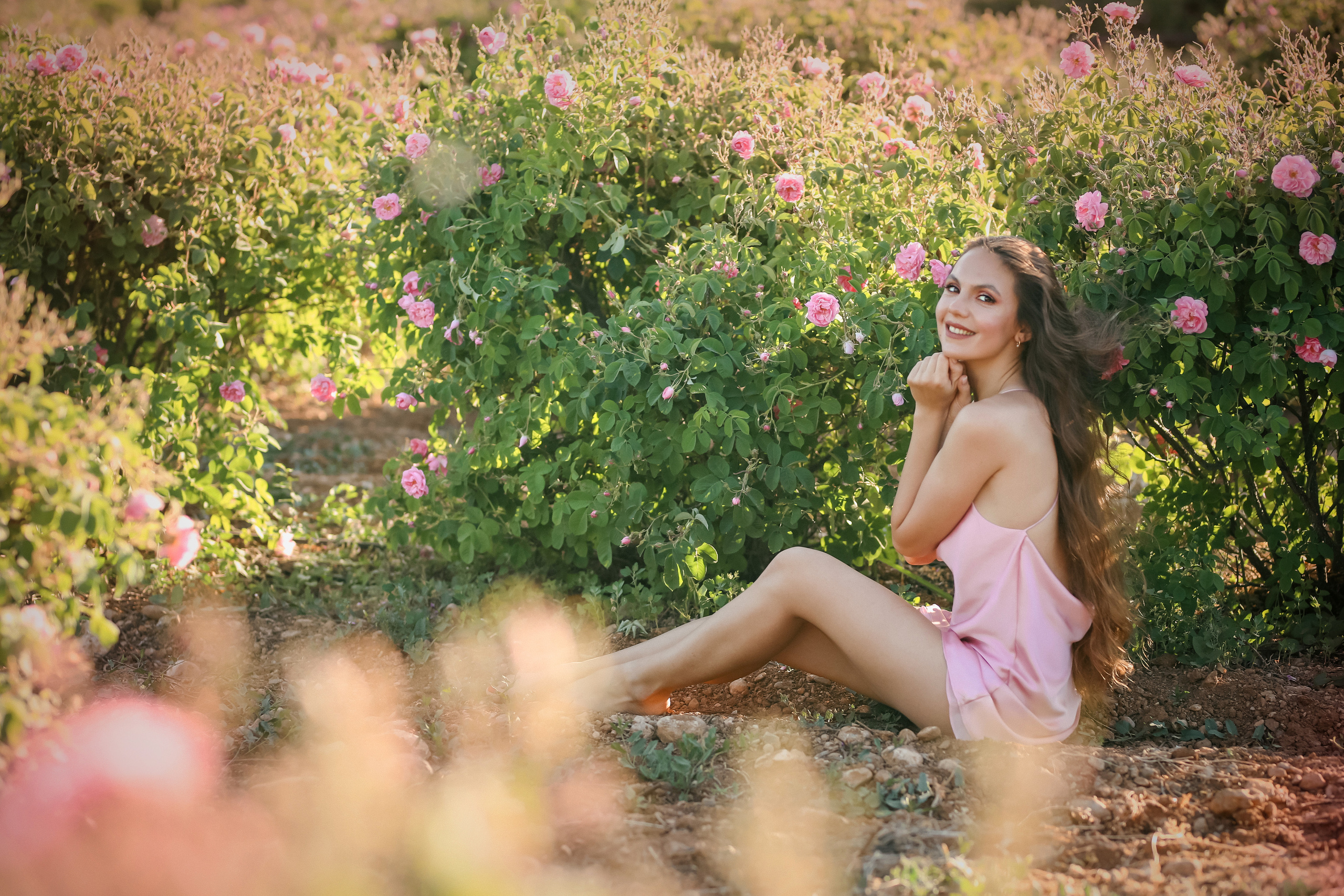 Rose fields. Photographer in Turkey, Antalya, Kemer, Belek, Side, Kas, Fethiye