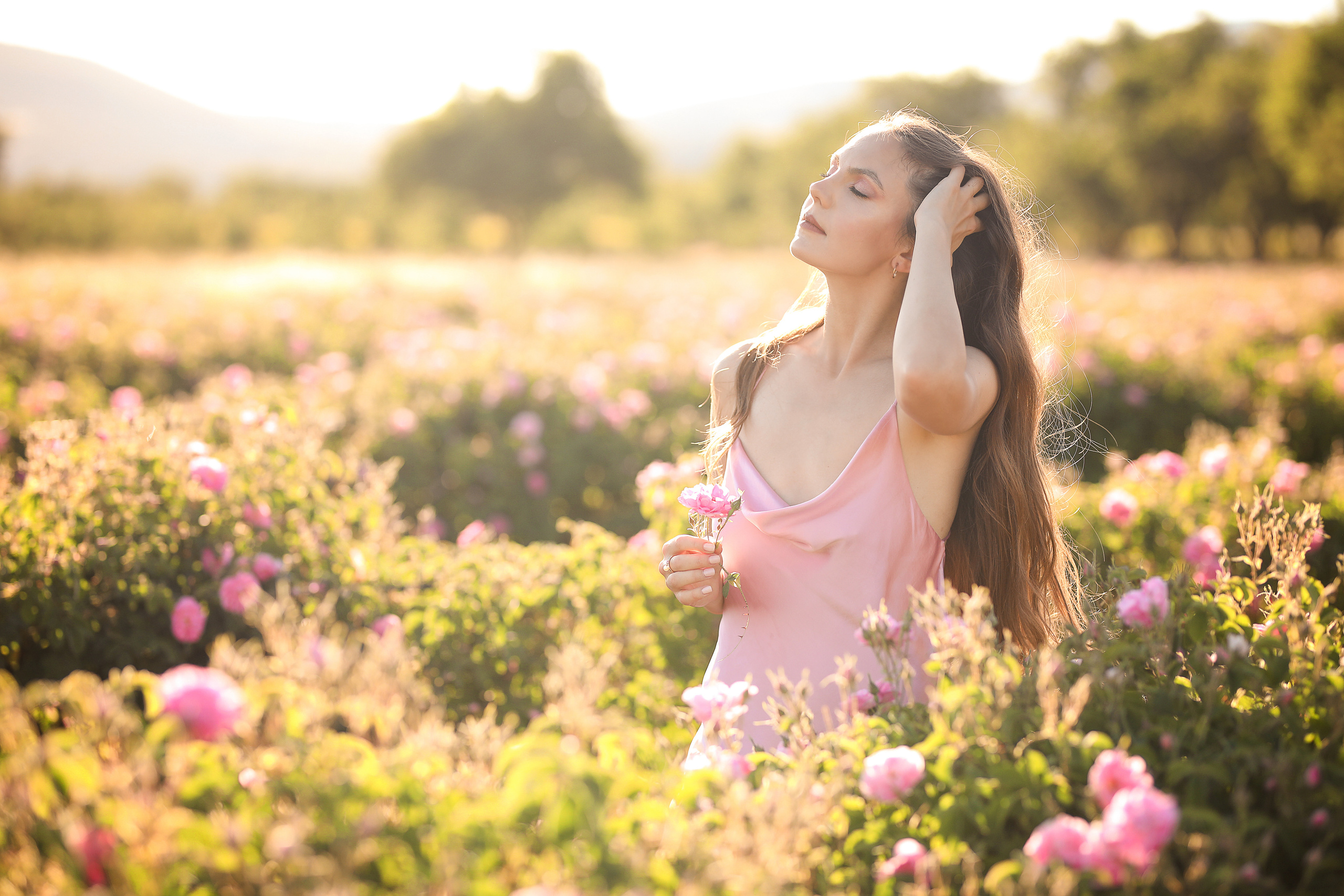 Rose fields. Photographer in Turkey, Antalya, Kemer, Belek, Side, Kas, Fethiye