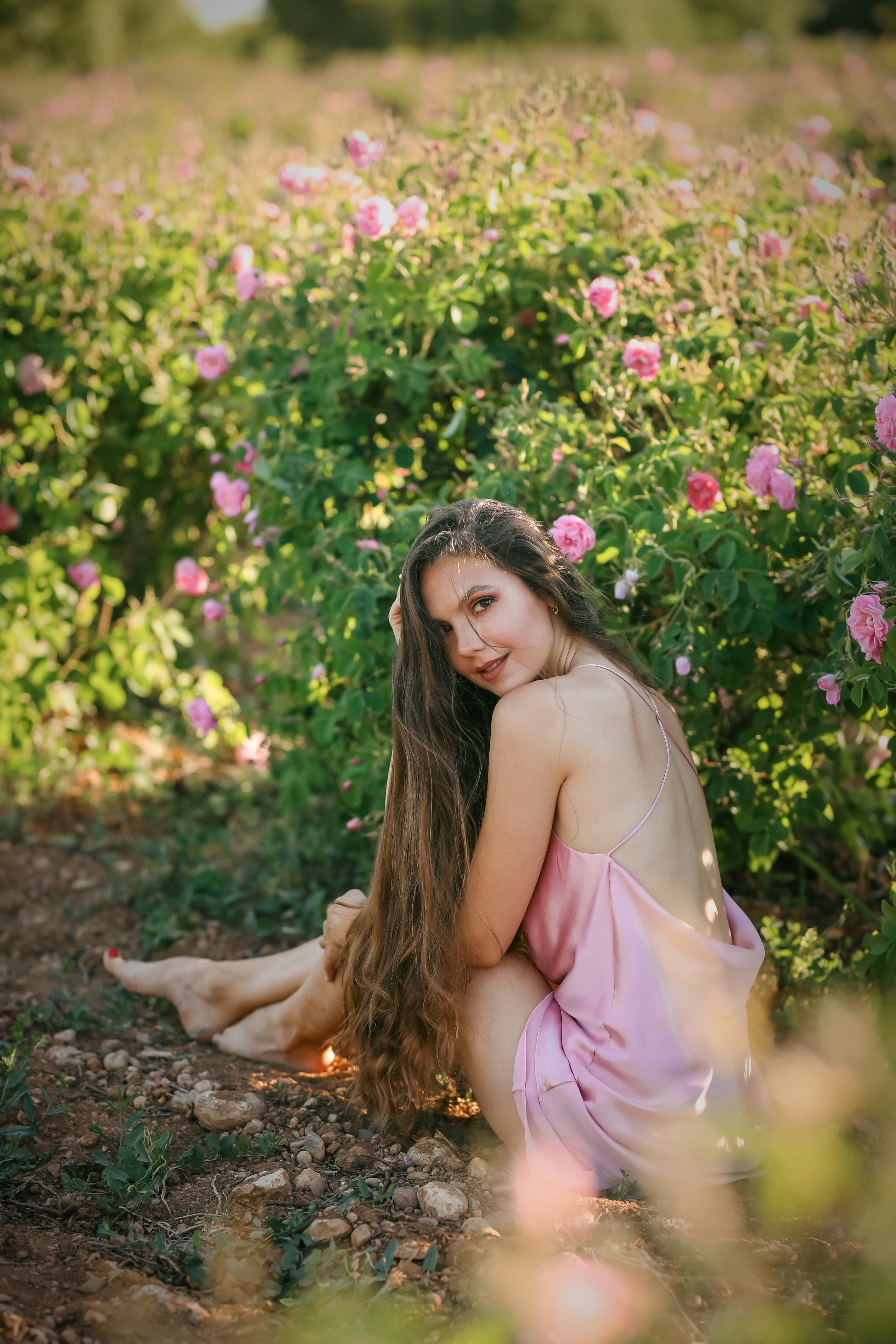 Rose fields. Photographer in Turkey, Antalya, Kemer, Belek, Side, Kas, Fethiye