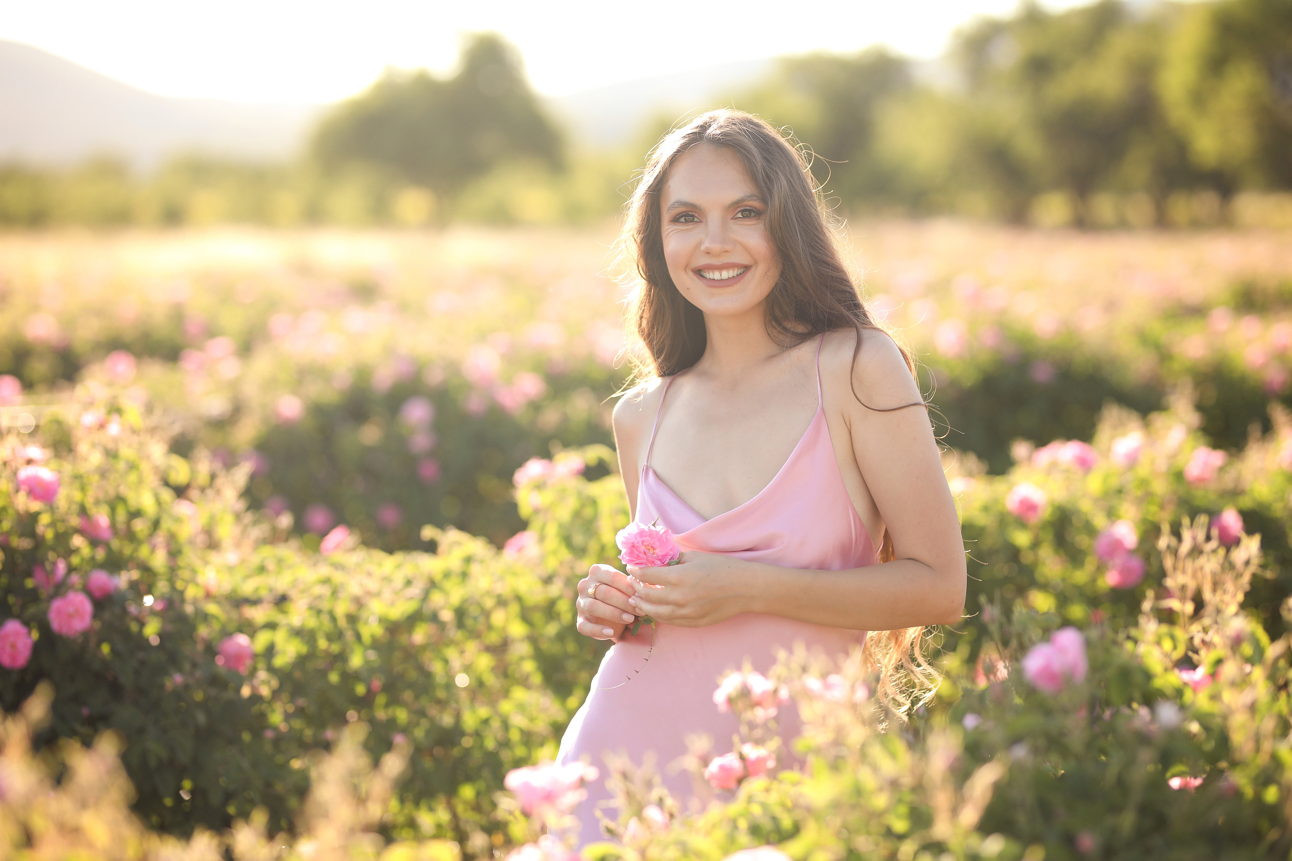 Rose fields. Photographer in Turkey, Antalya, Kemer, Belek, Side, Kas, Fethiye