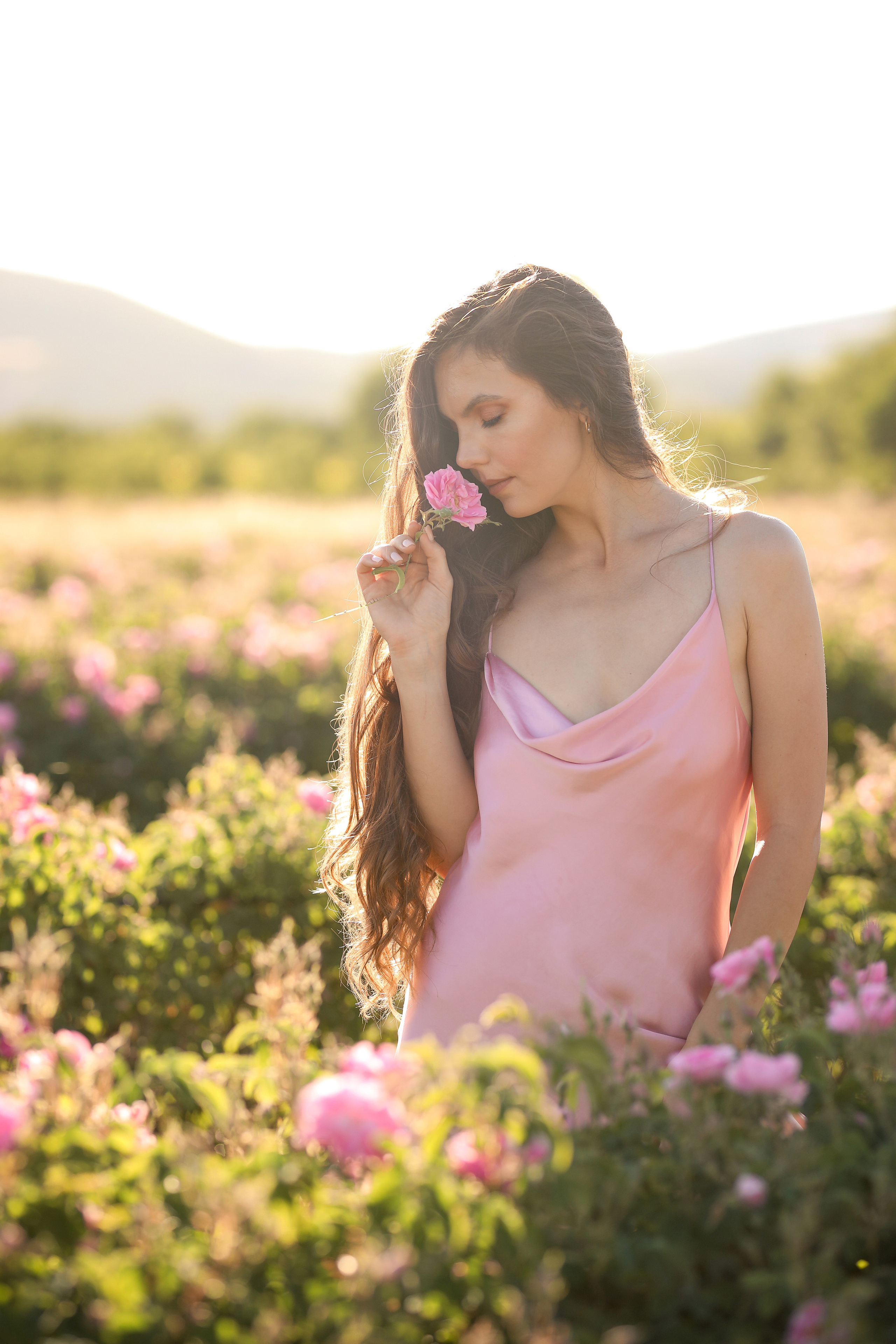 Rose fields. Photographer in Turkey, Antalya, Kemer, Belek, Side, Kas, Fethiye