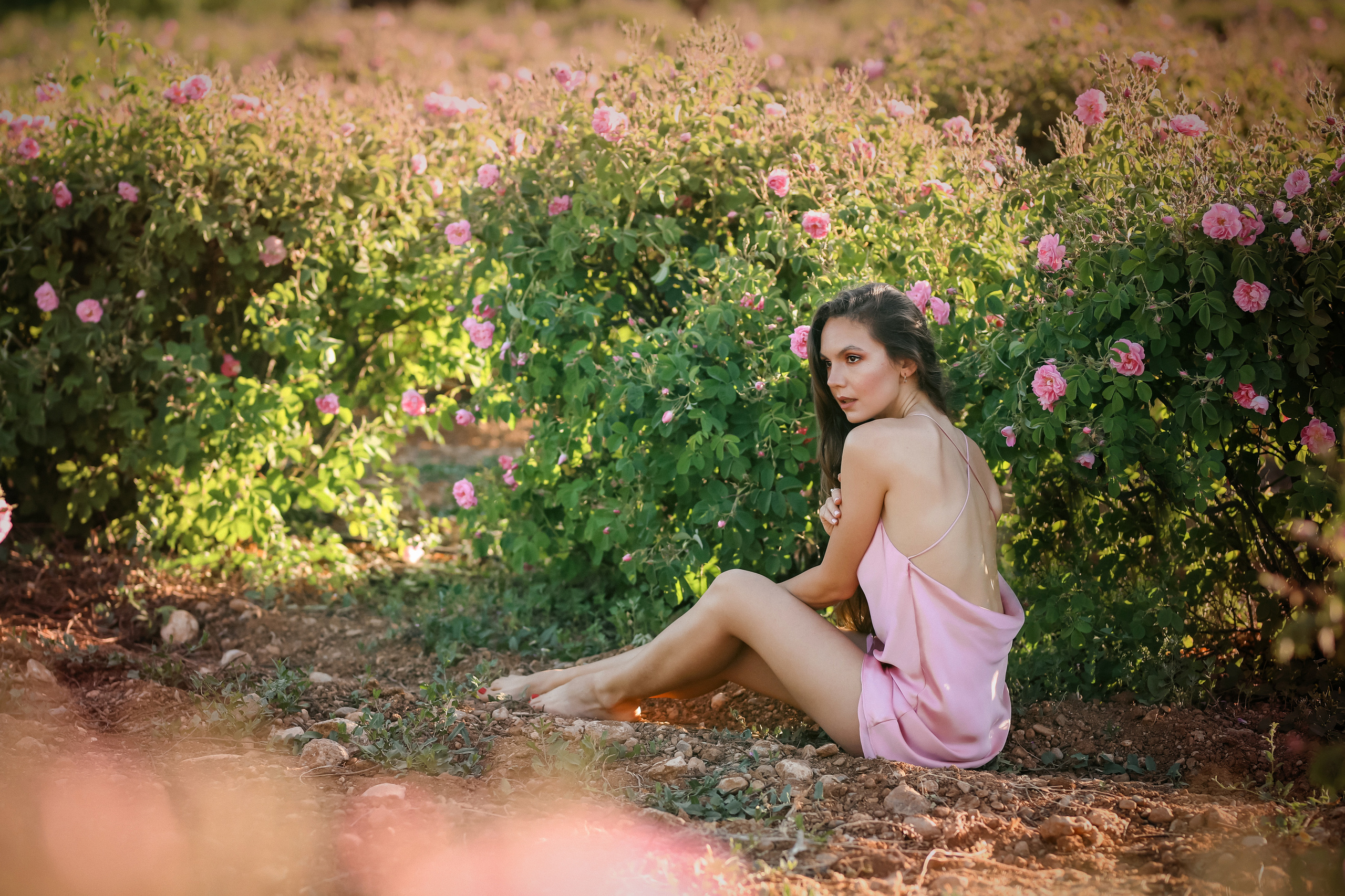 Rose fields. Photographer in Turkey, Antalya, Kemer, Belek, Side, Kas, Fethiye