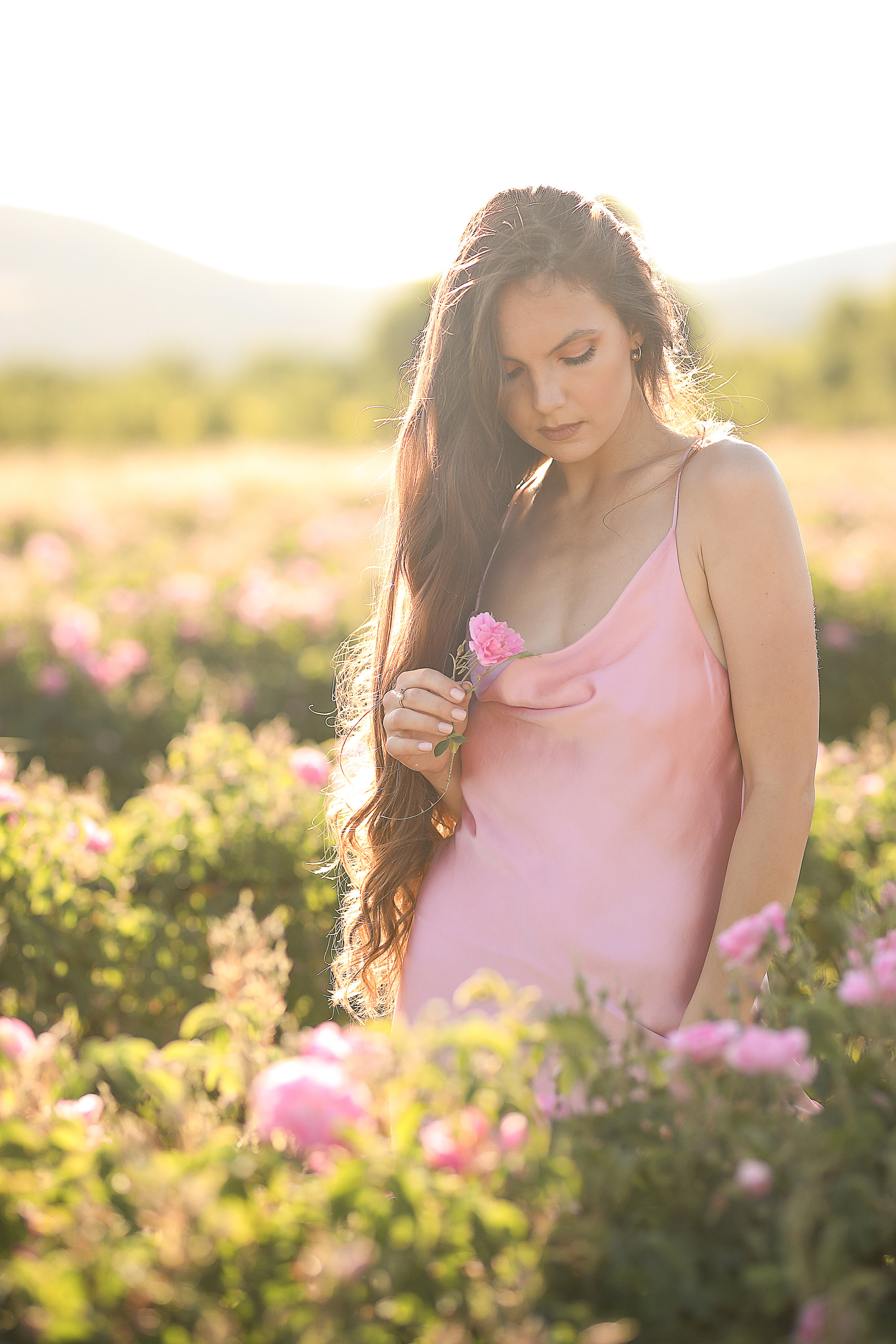 Rose fields. Photographer in Turkey, Antalya, Kemer, Belek, Side, Kas, Fethiye