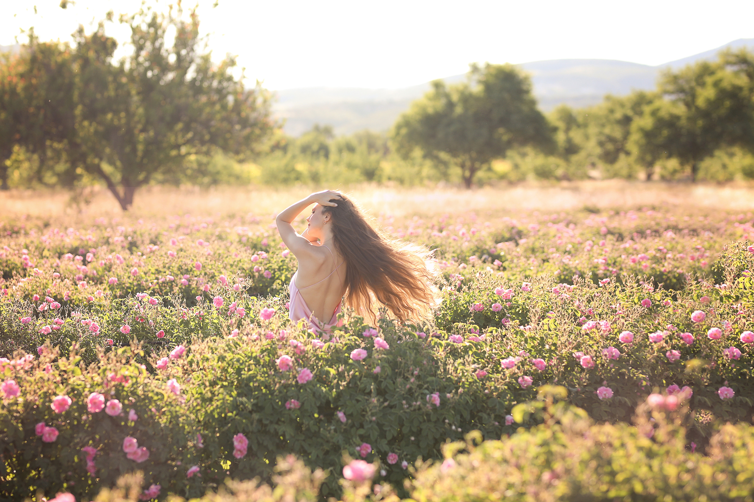 Rose fields. Photographer in Turkey, Antalya, Kemer, Belek, Side, Kas, Fethiye