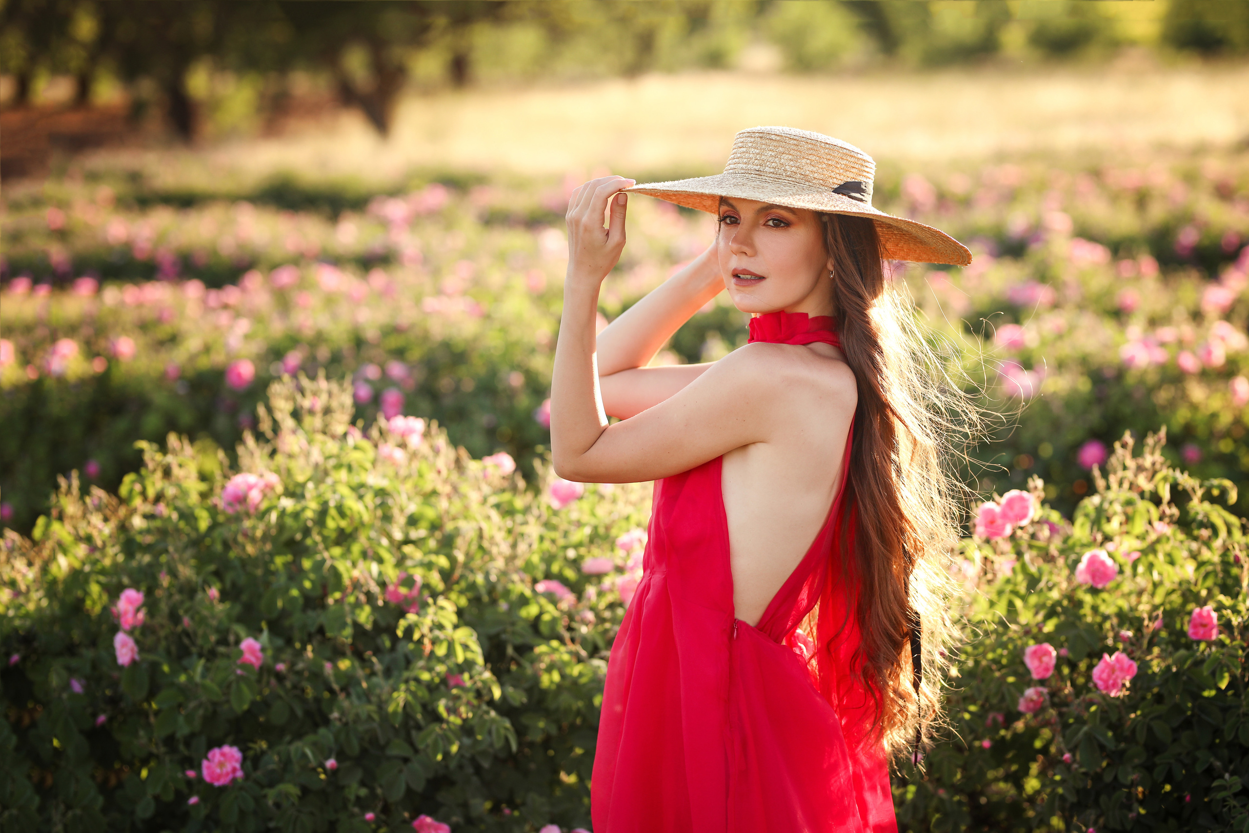 Rose fields. Photographer in Turkey, Antalya, Kemer, Belek, Side, Kas, Fethiye