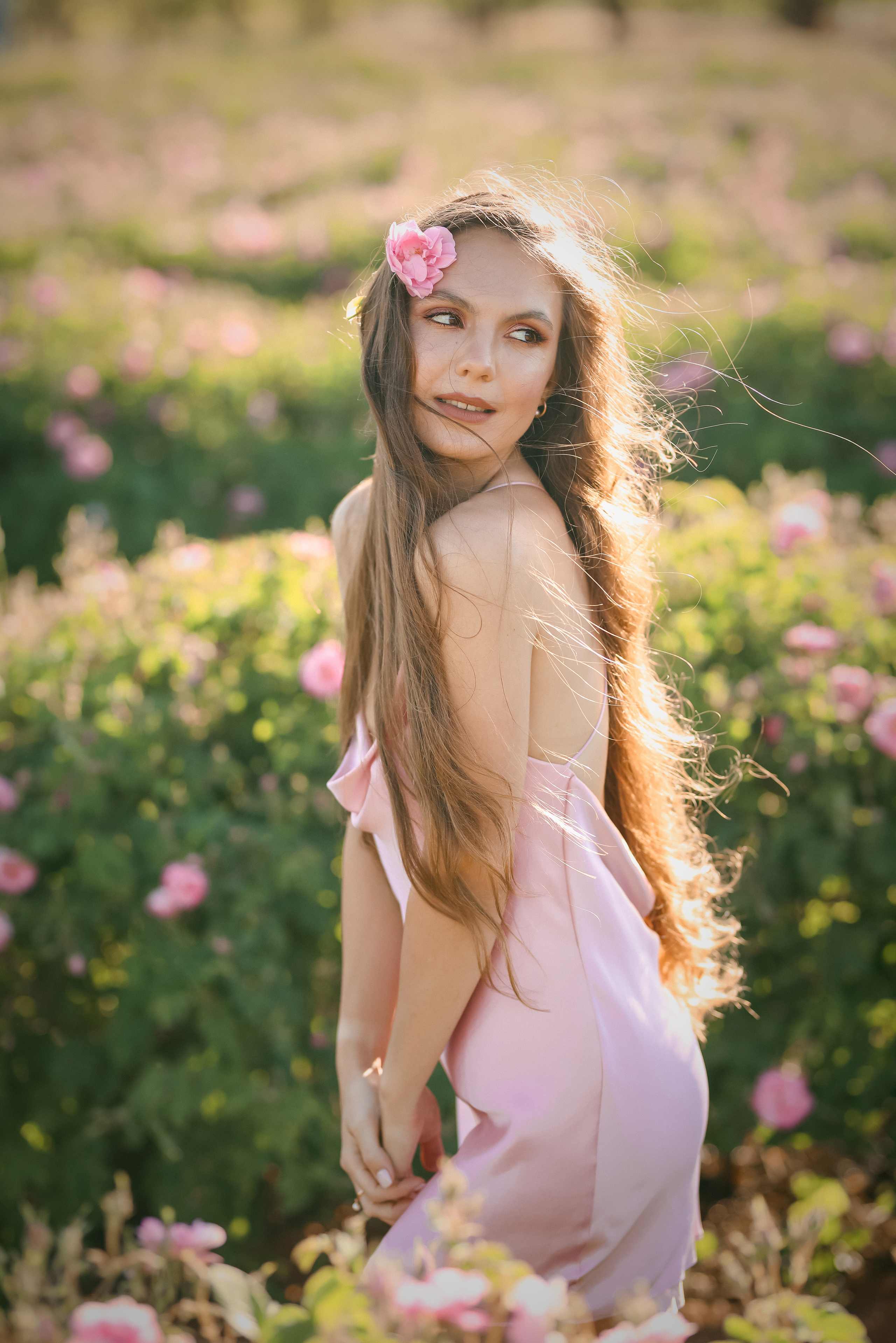 Rose fields. Photographer in Turkey, Antalya, Kemer, Belek, Side, Kas, Fethiye