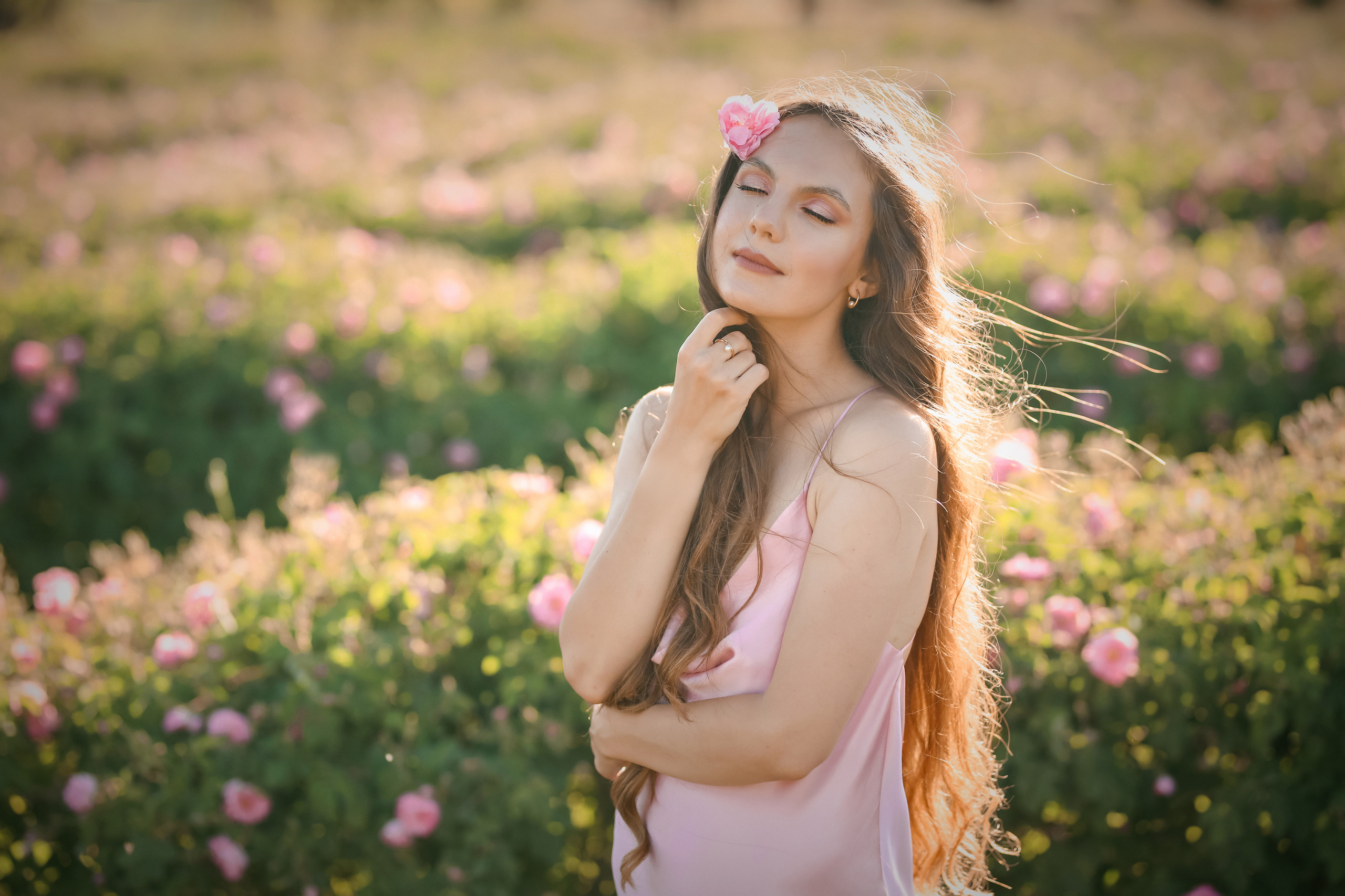 Rose fields. Photographer in Turkey, Antalya, Kemer, Belek, Side, Kas, Fethiye