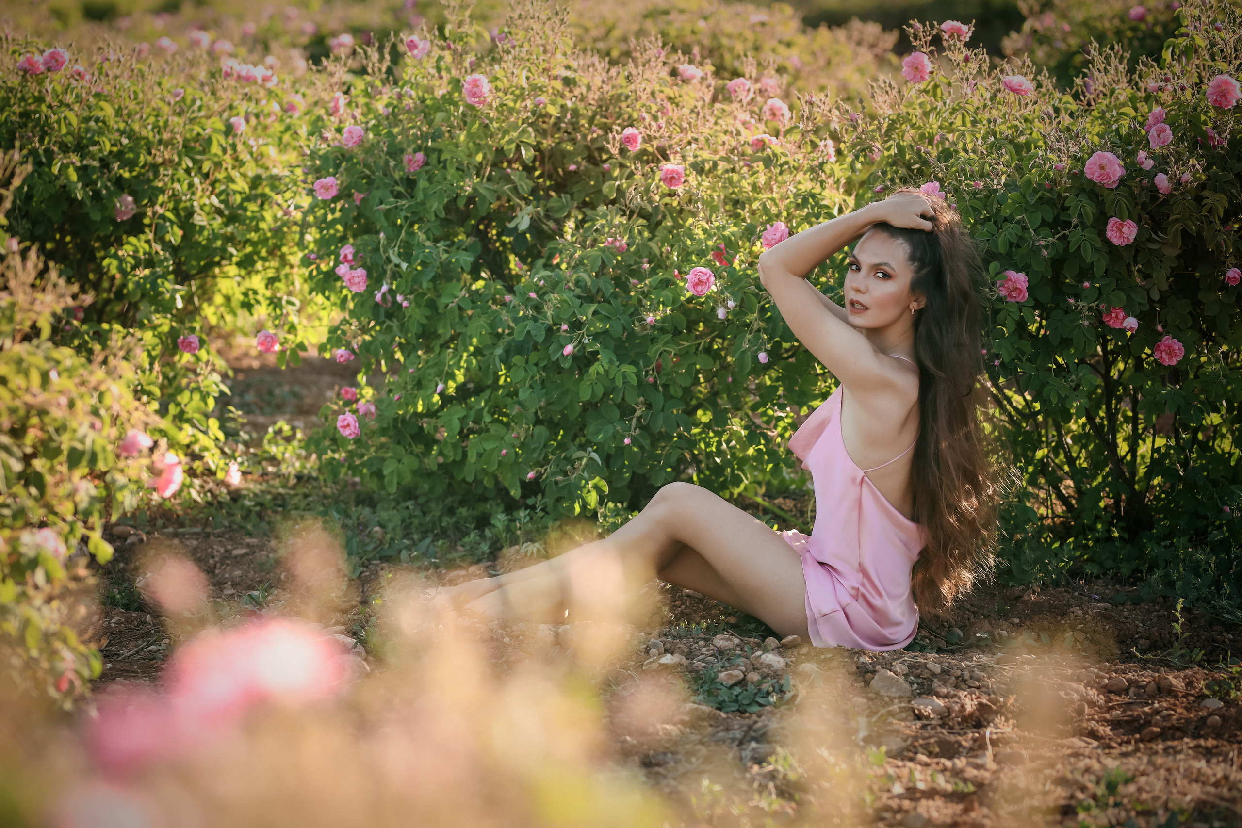 Rose fields. Photographer in Turkey, Antalya, Kemer, Belek, Side, Kas, Fethiye