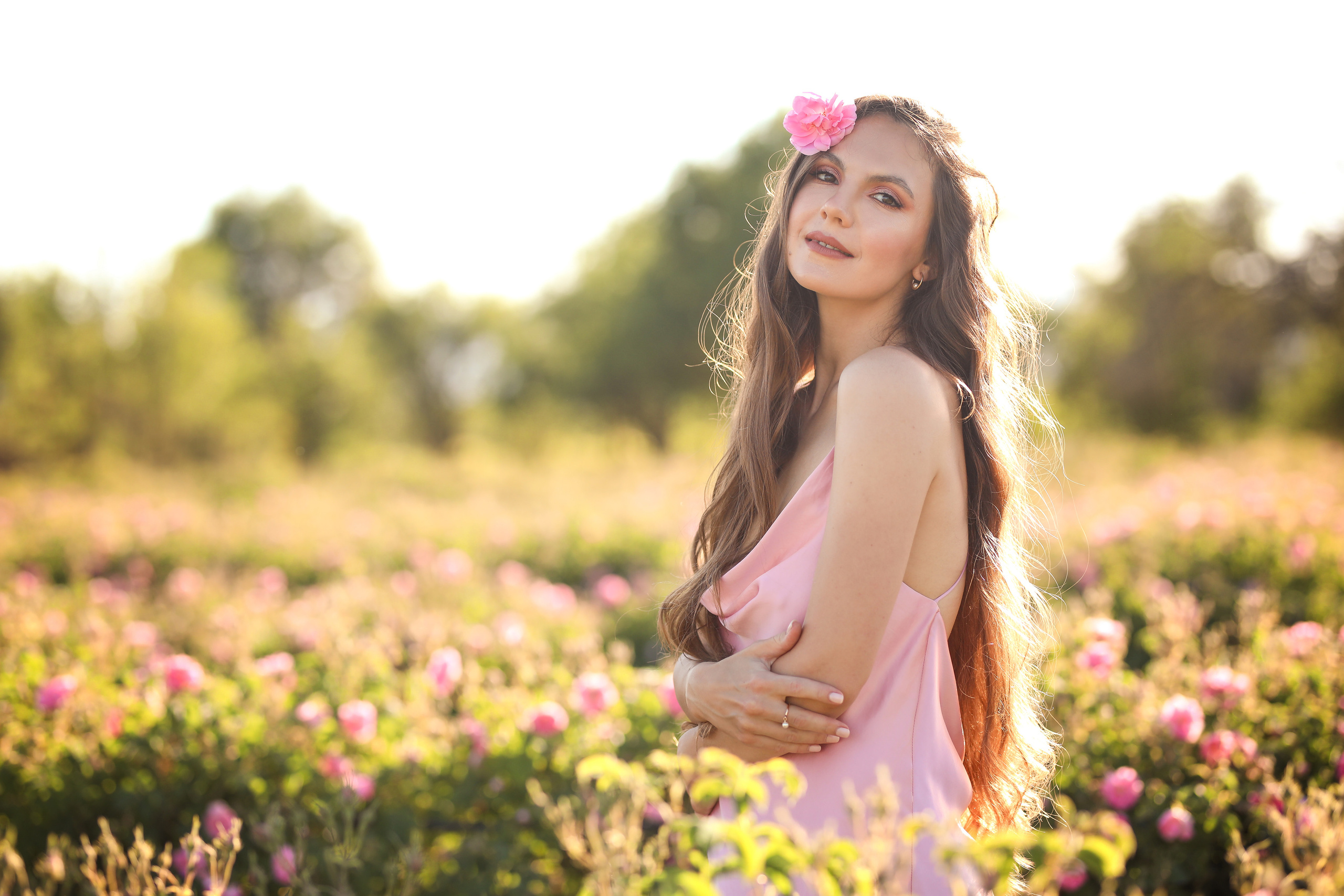Rose fields. Photographer in Turkey, Antalya, Kemer, Belek, Side, Kas, Fethiye