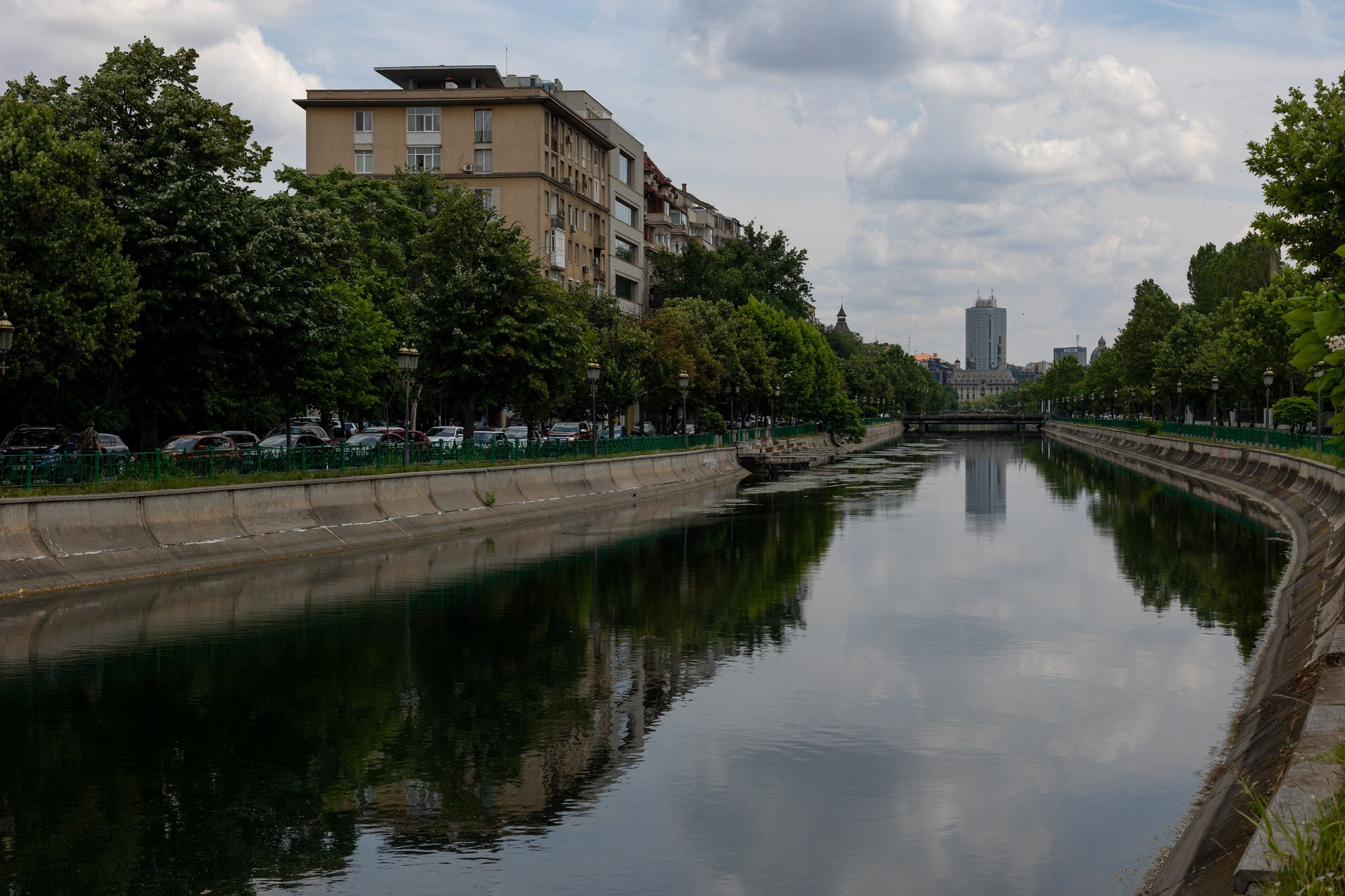 The Grid. A Creative Insight | Catalin Nastase