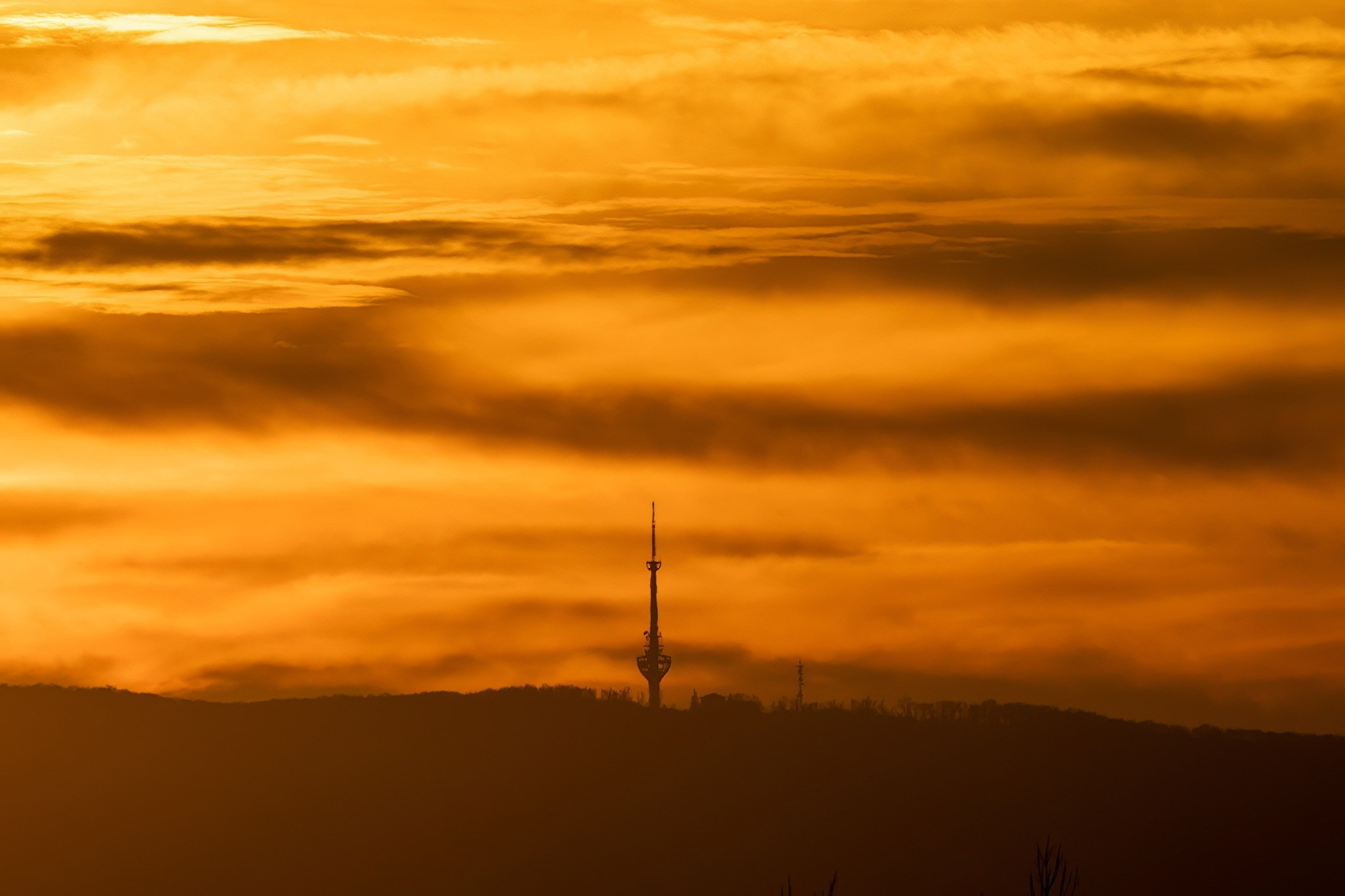 Landscape photography. Wedding photography