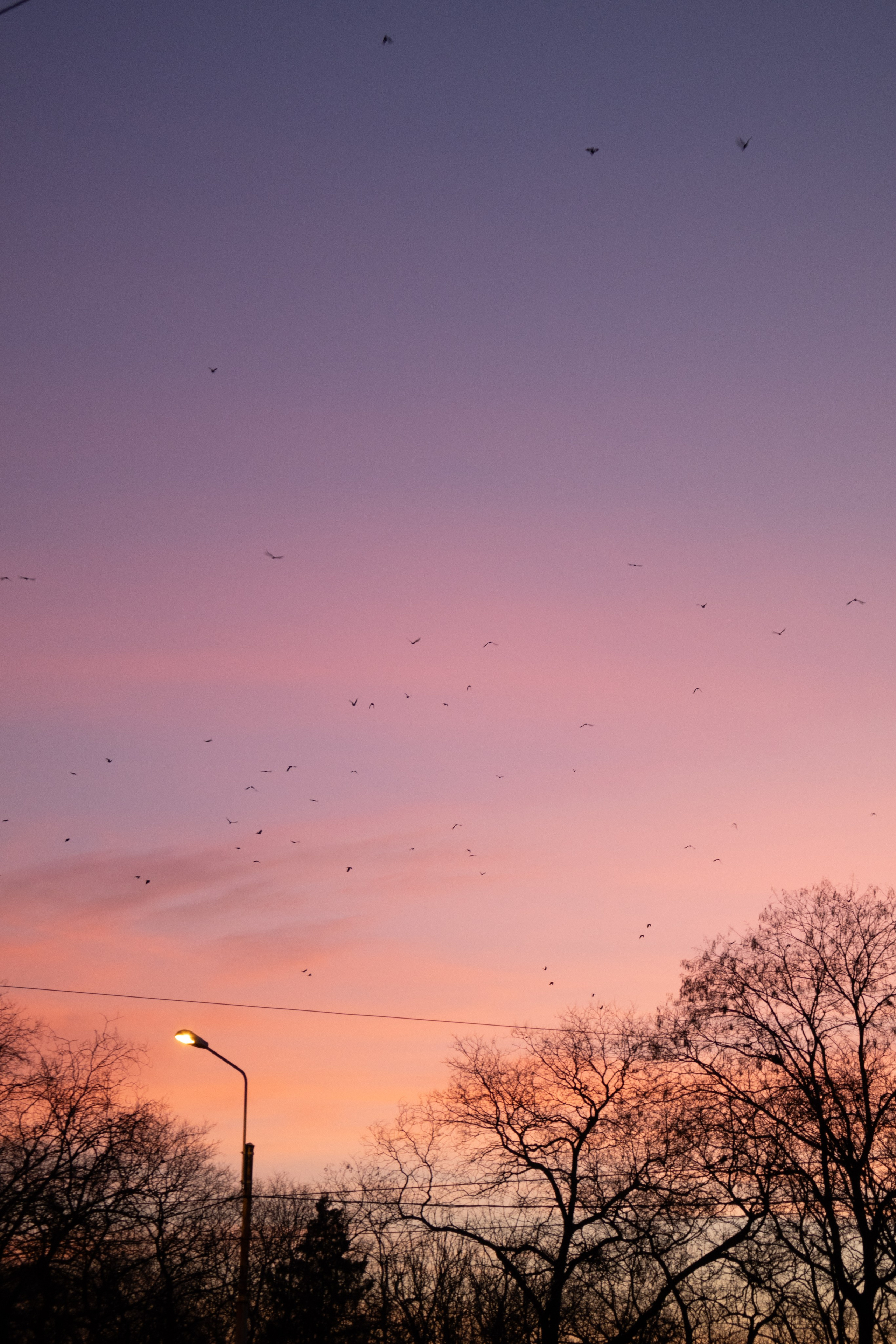 Bucharest. Дизайнер и Фотограф в Кишинёве Бусуйок Станислав