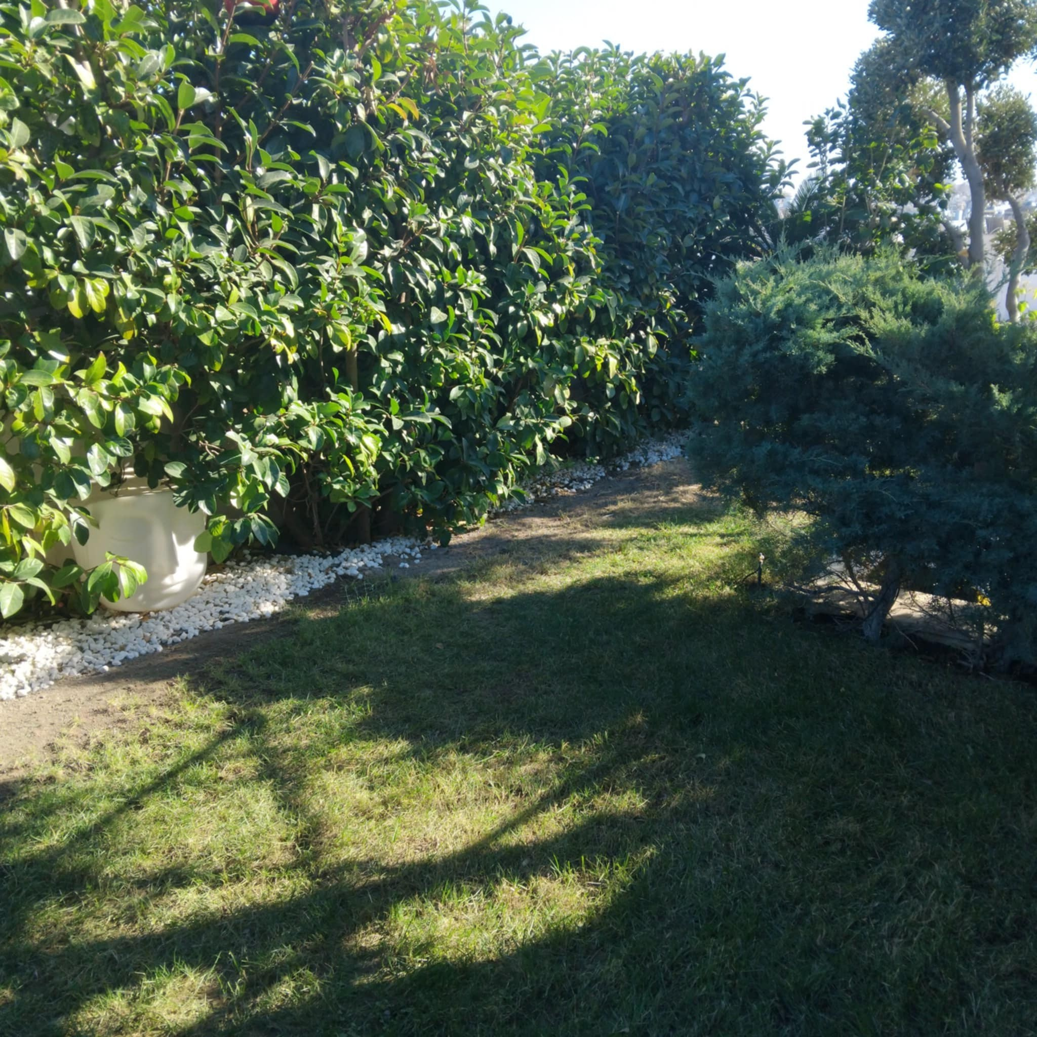 Κήπος Πειραιά. Geoponitikon-Όταν η Επιστήμη συναντά την Τέχνη στο Φυσικό Τοπίο!