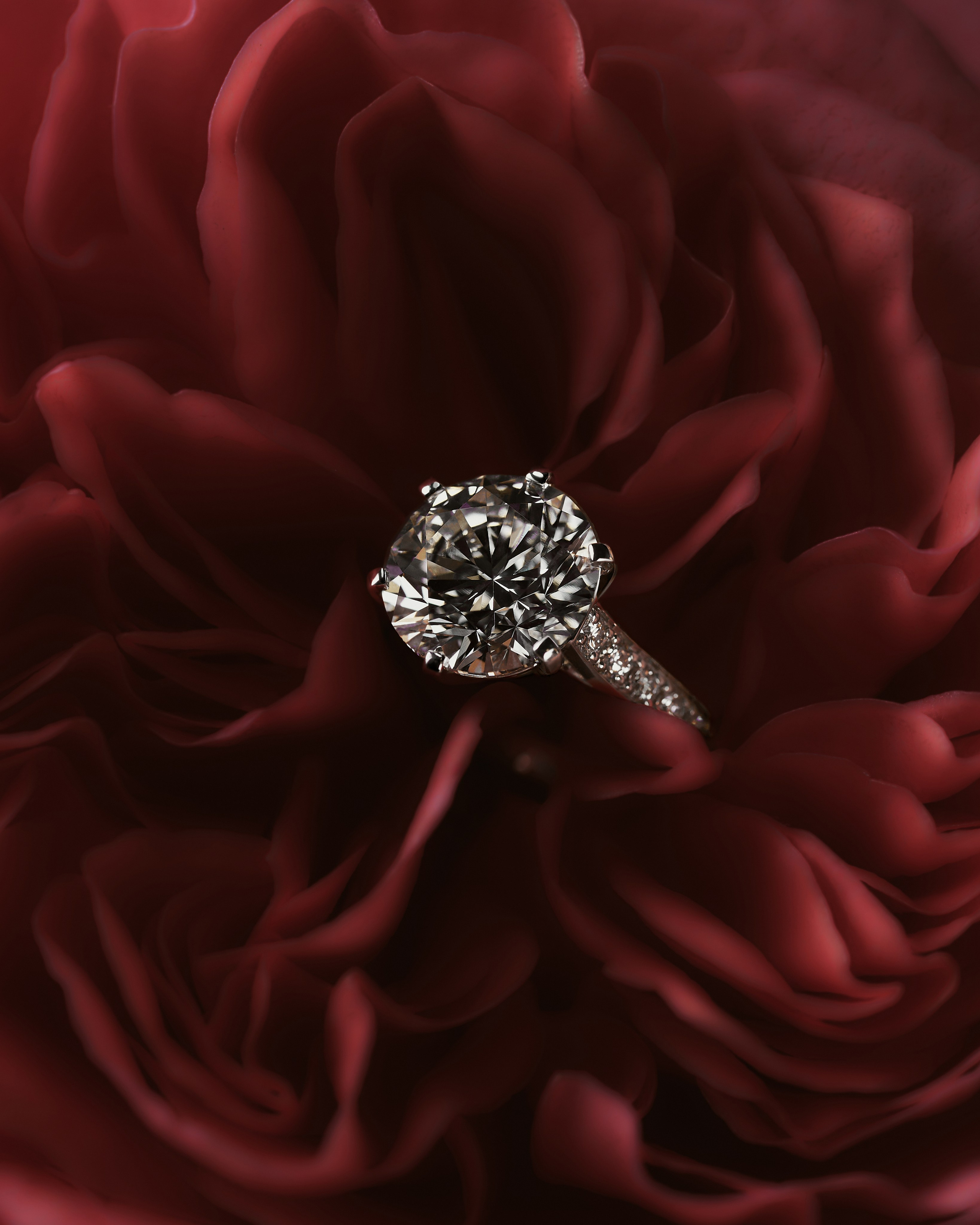 JEWELLERY. Fashion and advertising photographer Alina Mikhalkovich Dubai