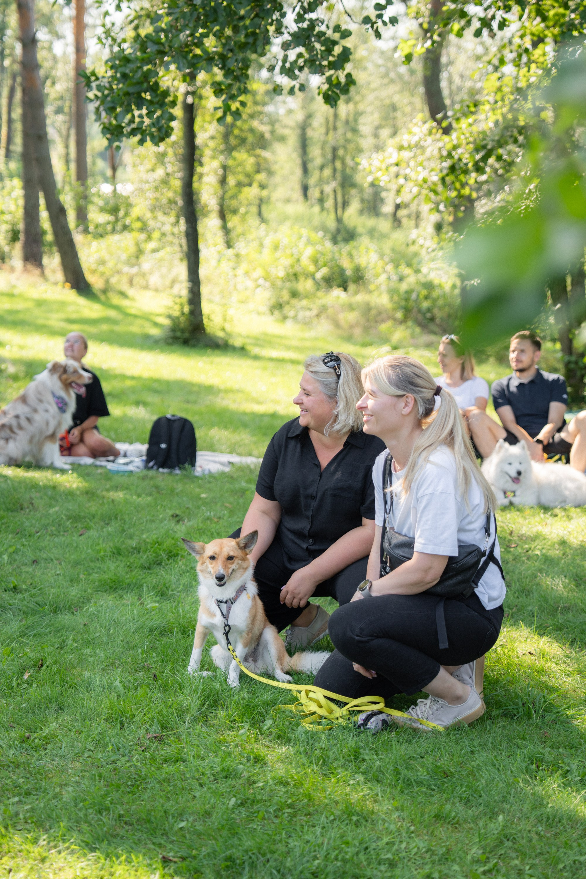 Heppi Dogo fest 2025. Vita Klimaševska ○ Fluffy Soulmate Photography