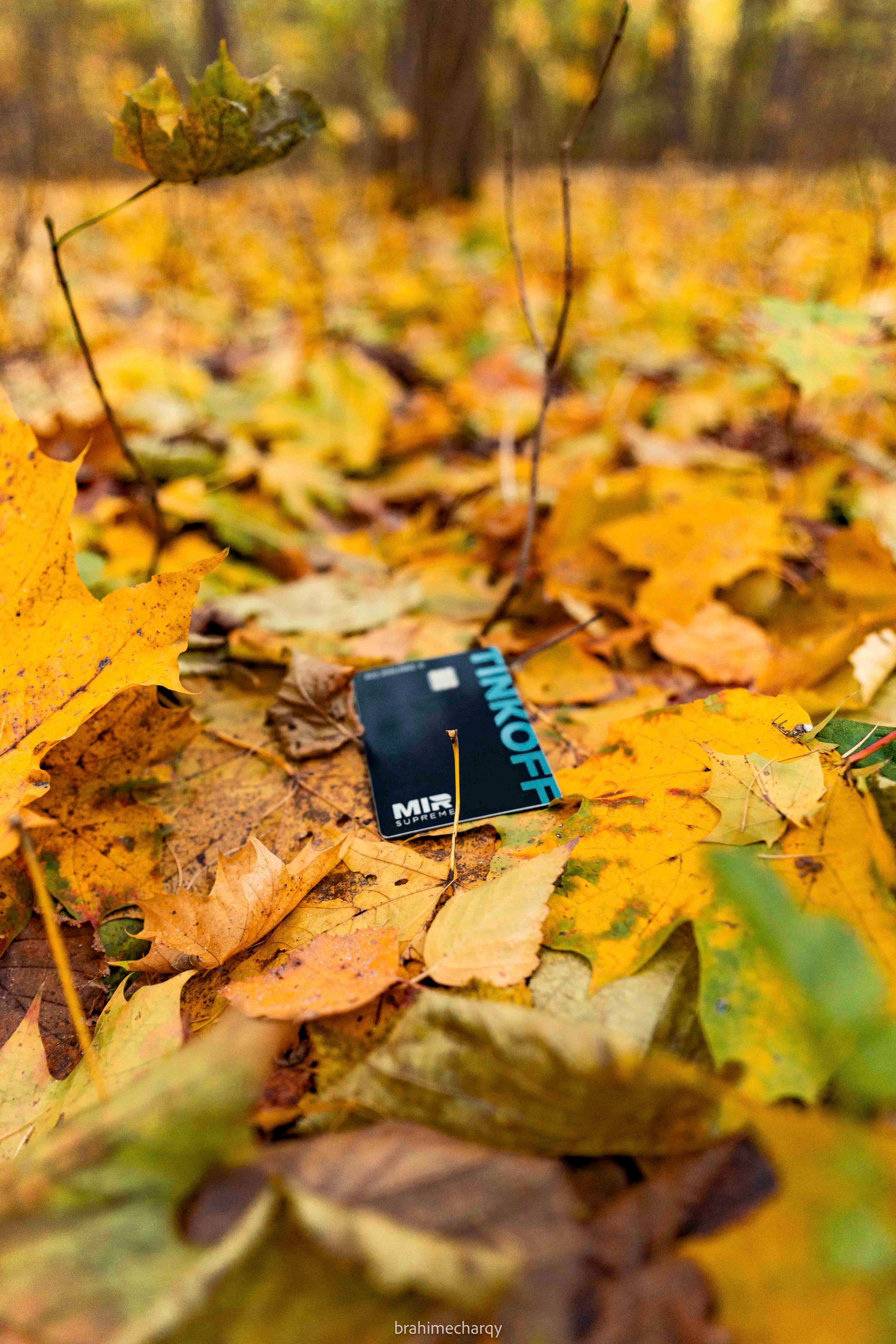 Фото. Брахим — фотограф