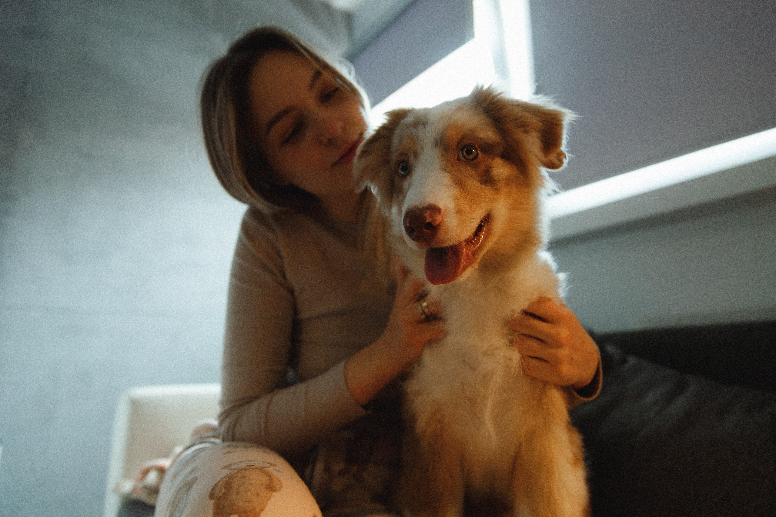 Fotografia psów Wrocław. Kaja | fotograf we Wrocławiu | ludzie i psy