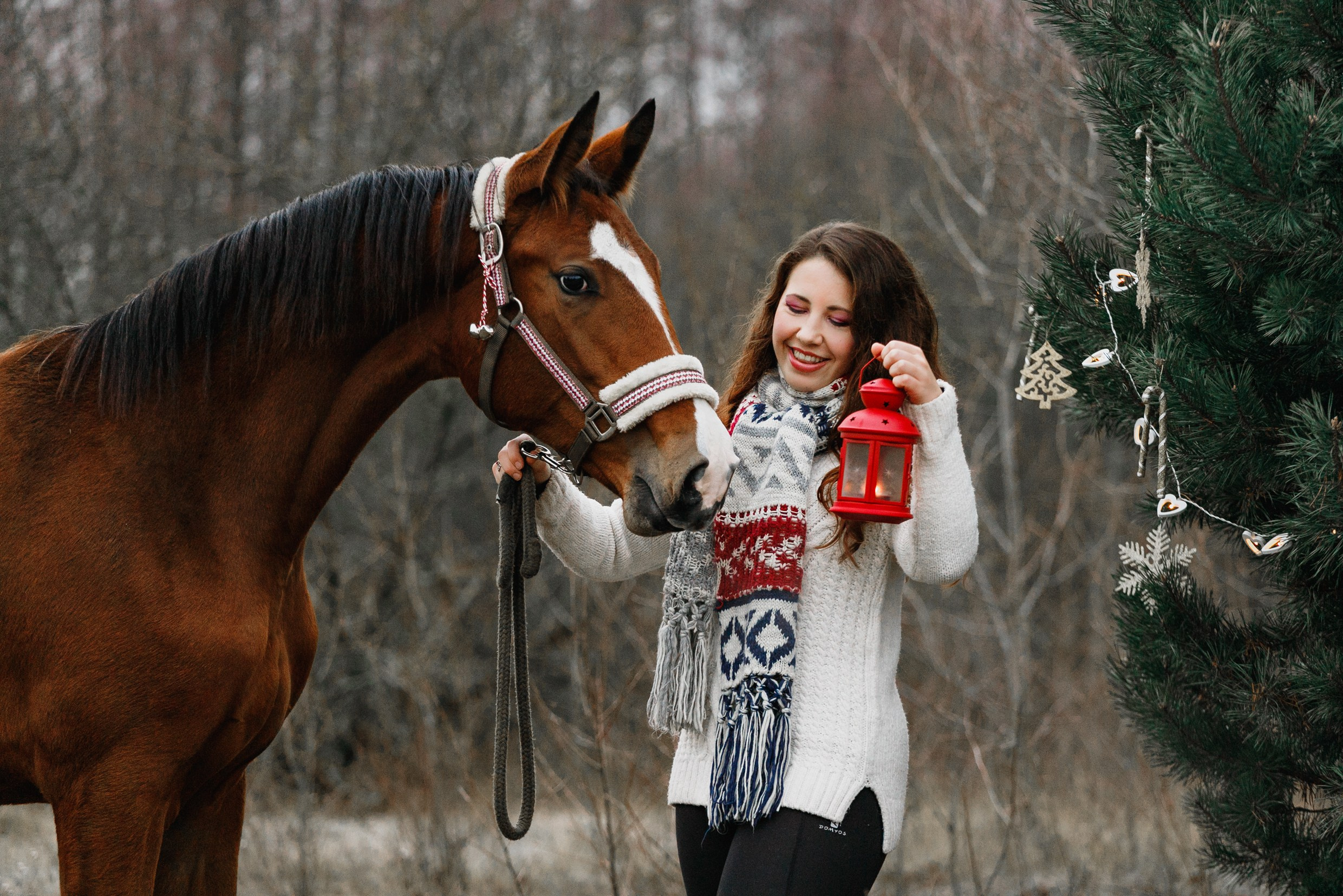 Aibike | winter. Kaja | fotograf psów we Wrocławiu