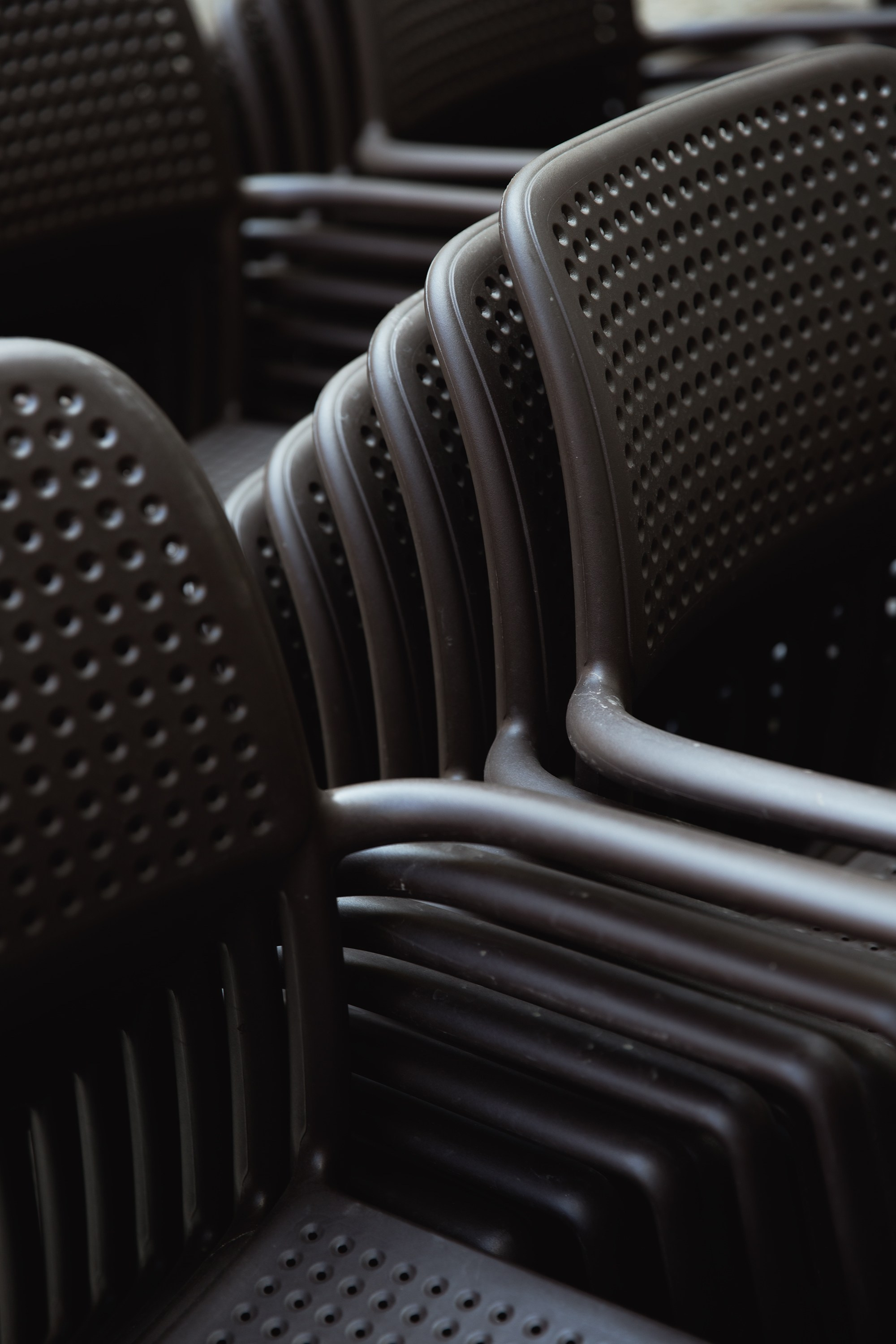 Wroclaw | the best ones. Kaja | fotograf psów we Wrocławiu